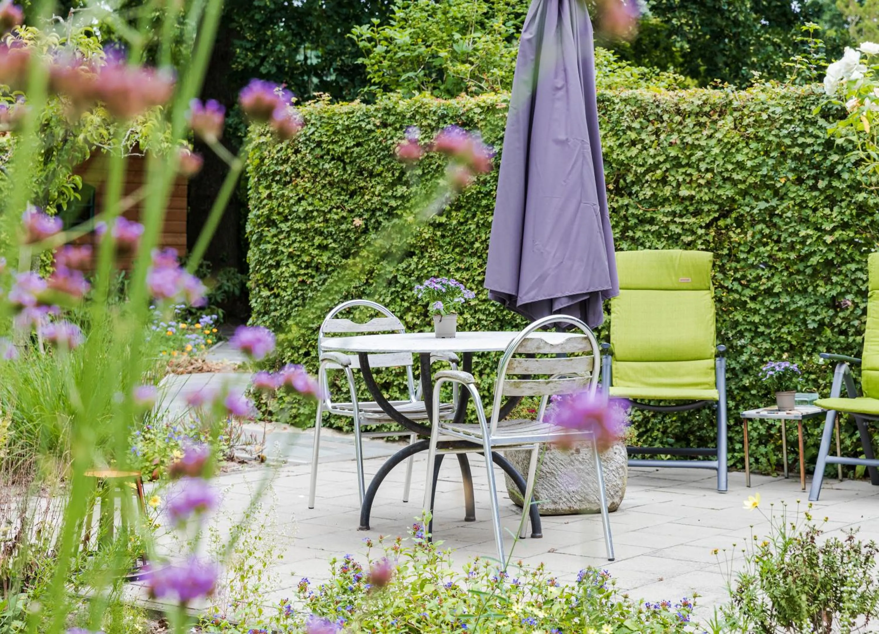 Garden in B&B van Dinter