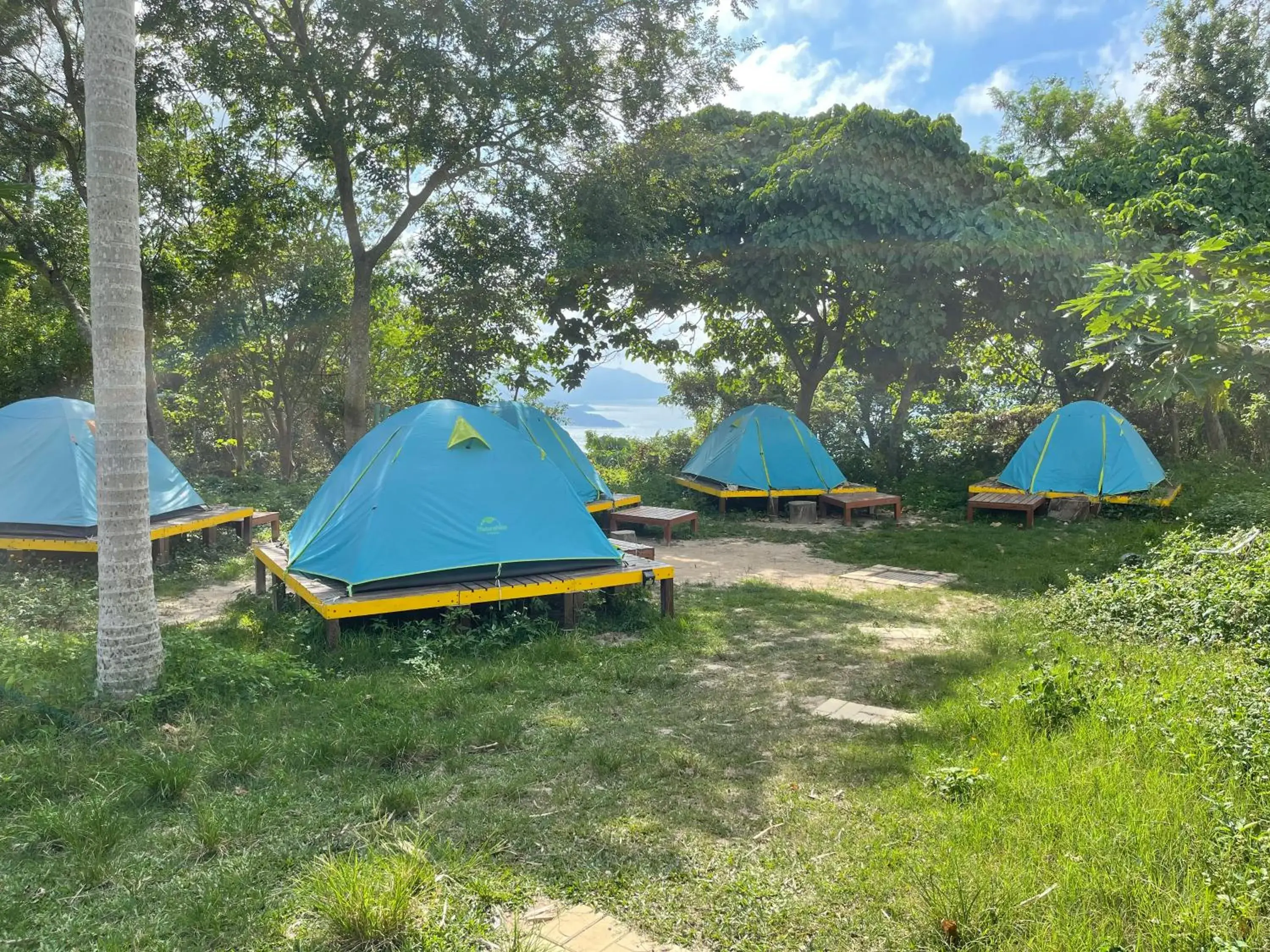 View (from property/room) in YHA Jockey Club Mt. Davis Youth Hostel View (from property/room) in YHA Jockey Club Mt. Davis Youth Hostel