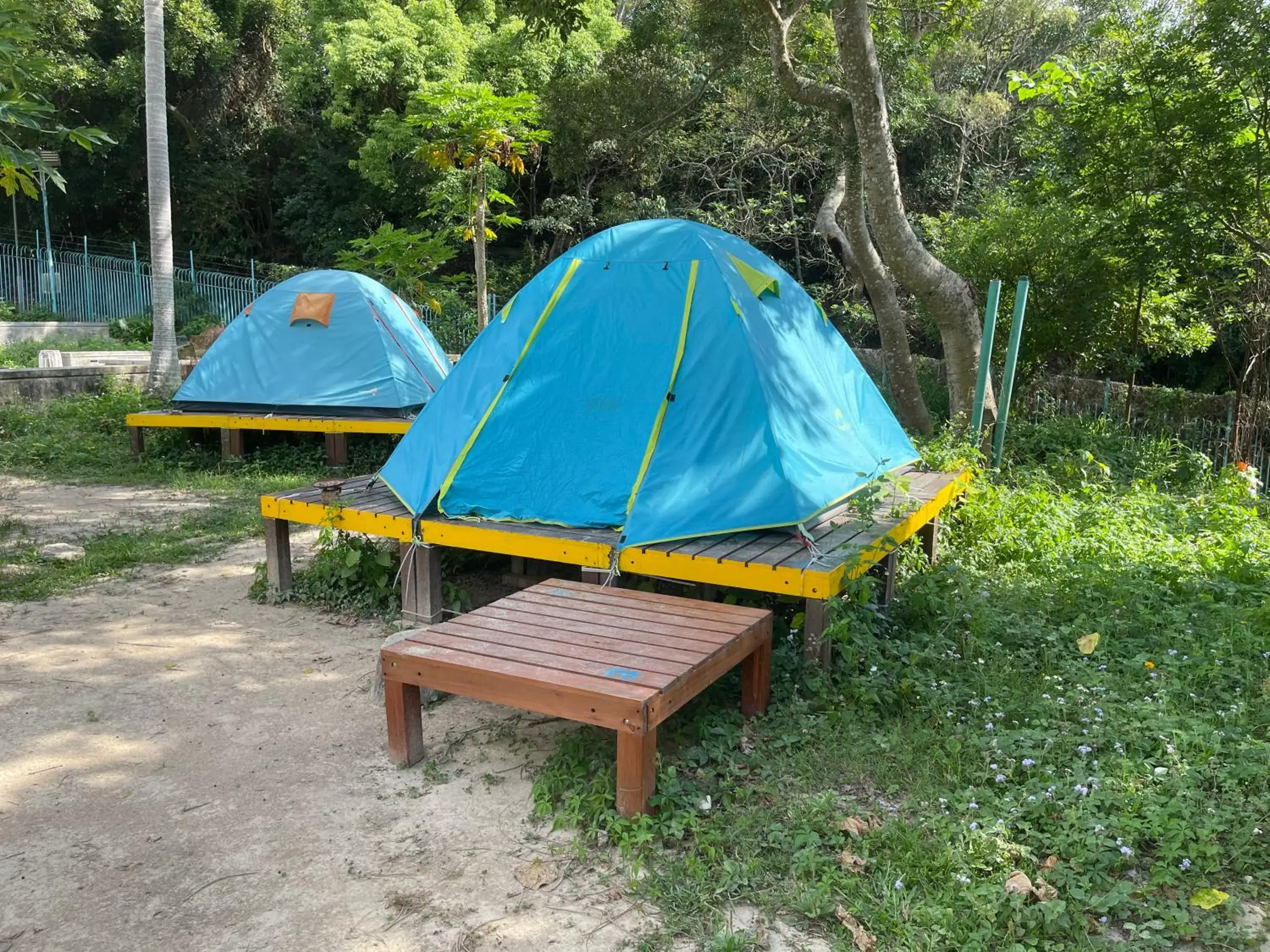 View (from property/room) in YHA Jockey Club Mt. Davis Youth Hostel View (from property/room) in YHA Jockey Club Mt. Davis Youth Hostel