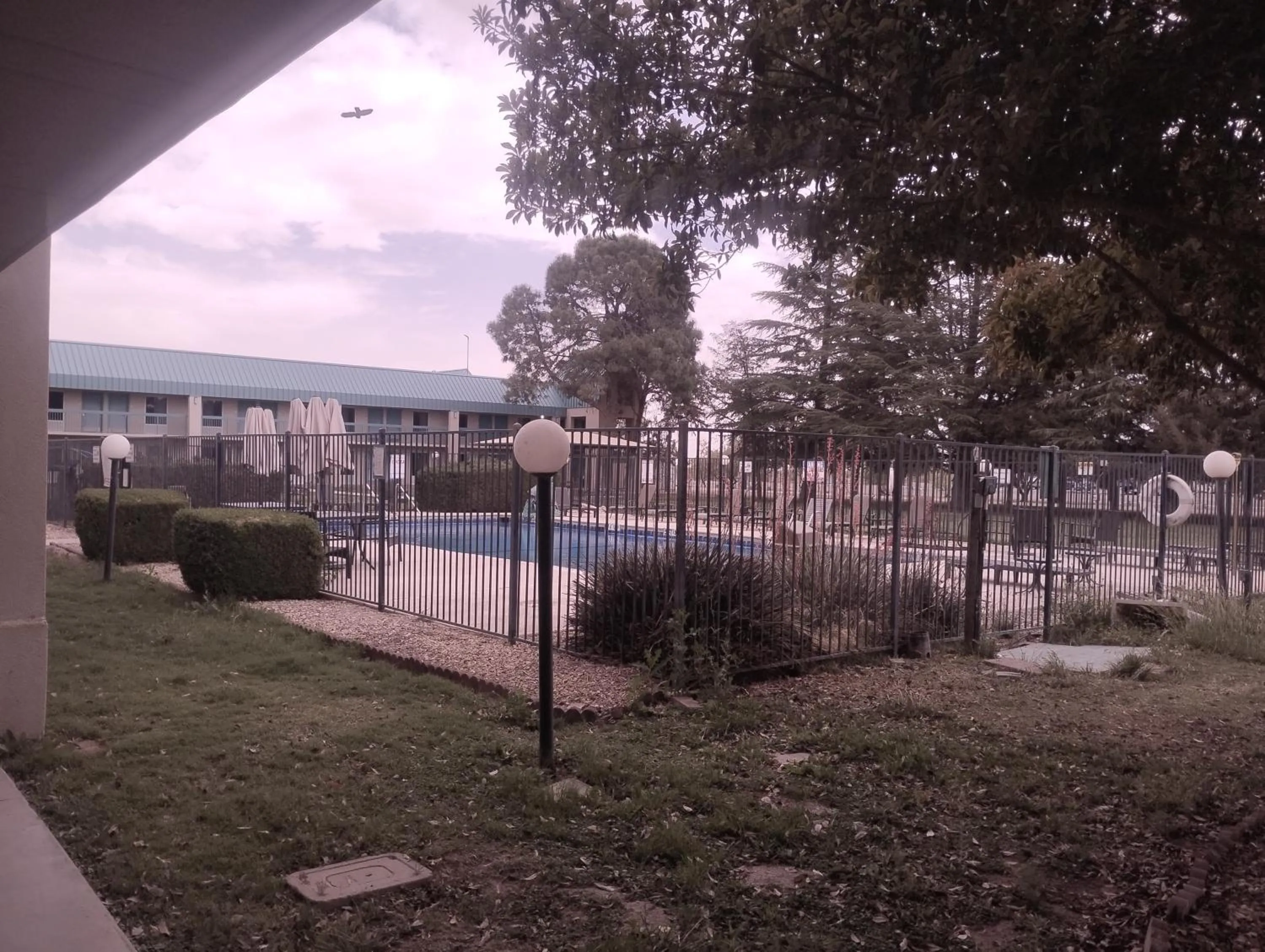 Garden view in Quality Inn Deming