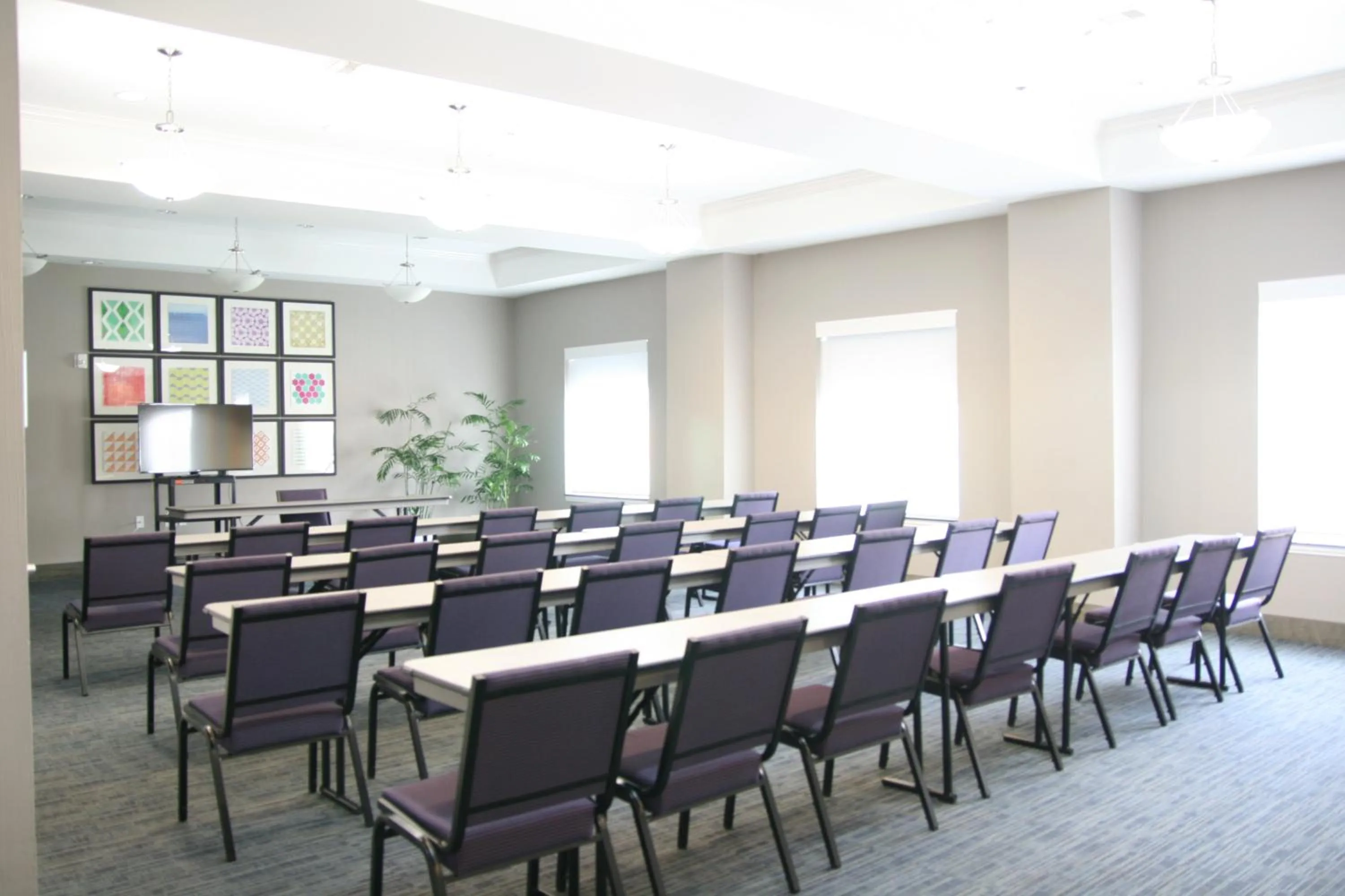 Meeting/conference room in Holiday Inn Express Hotel & Suites Clute-Lake Jackson by IHG