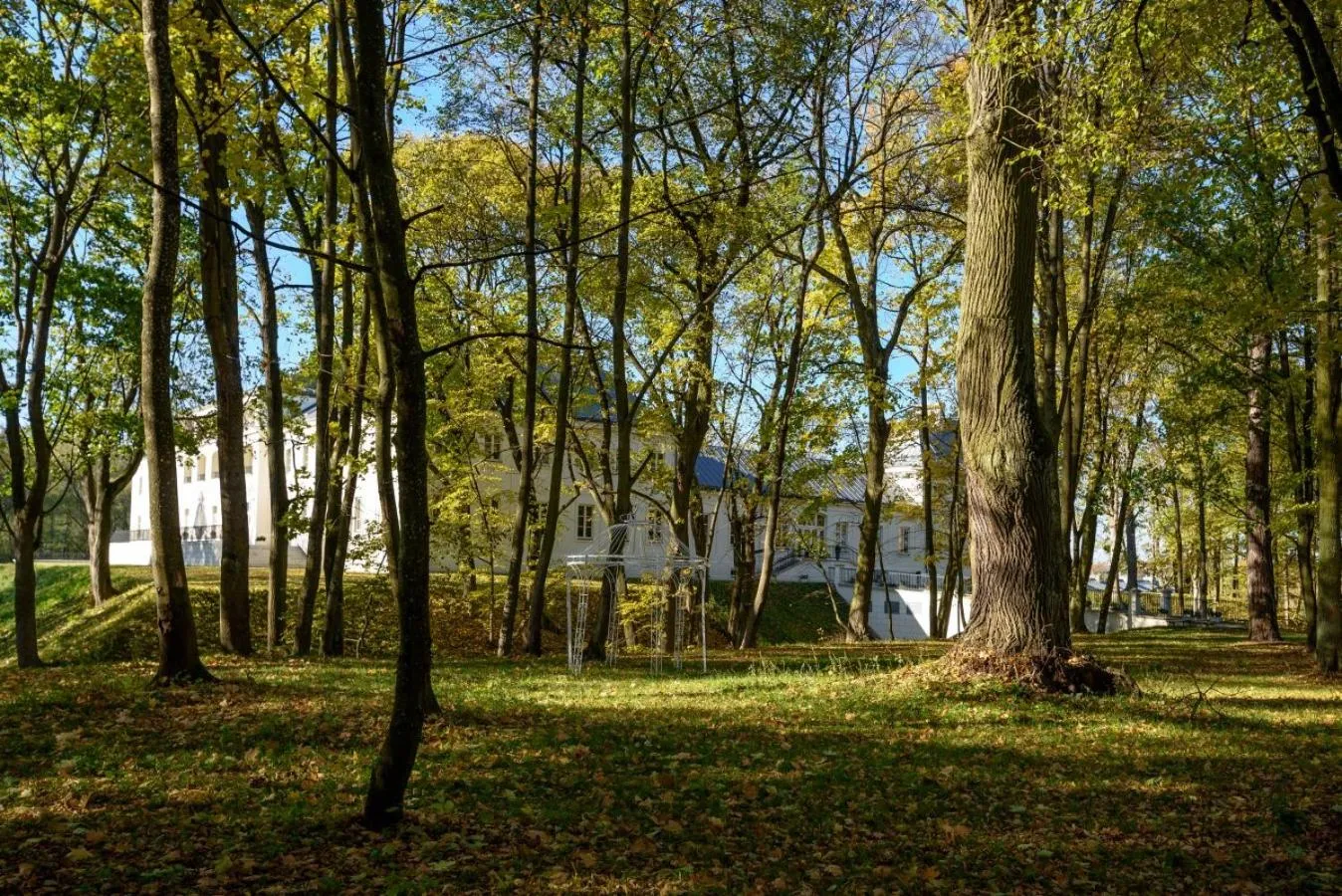 Property building in Zamek Janów Podlaski
