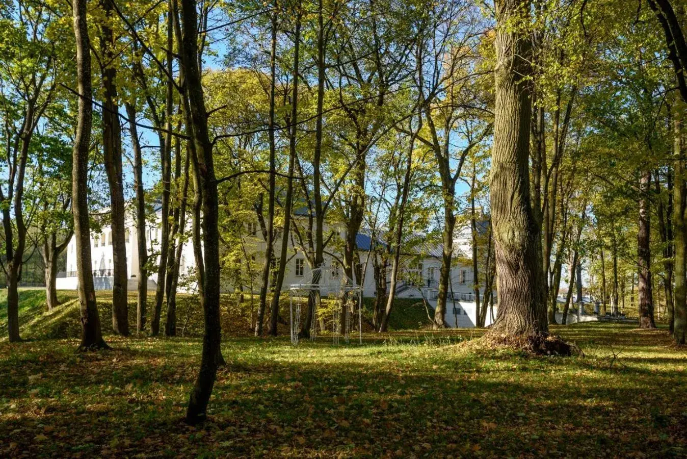 Property building in Zamek Janów Podlaski Property building in Zamek Janów Podlaski