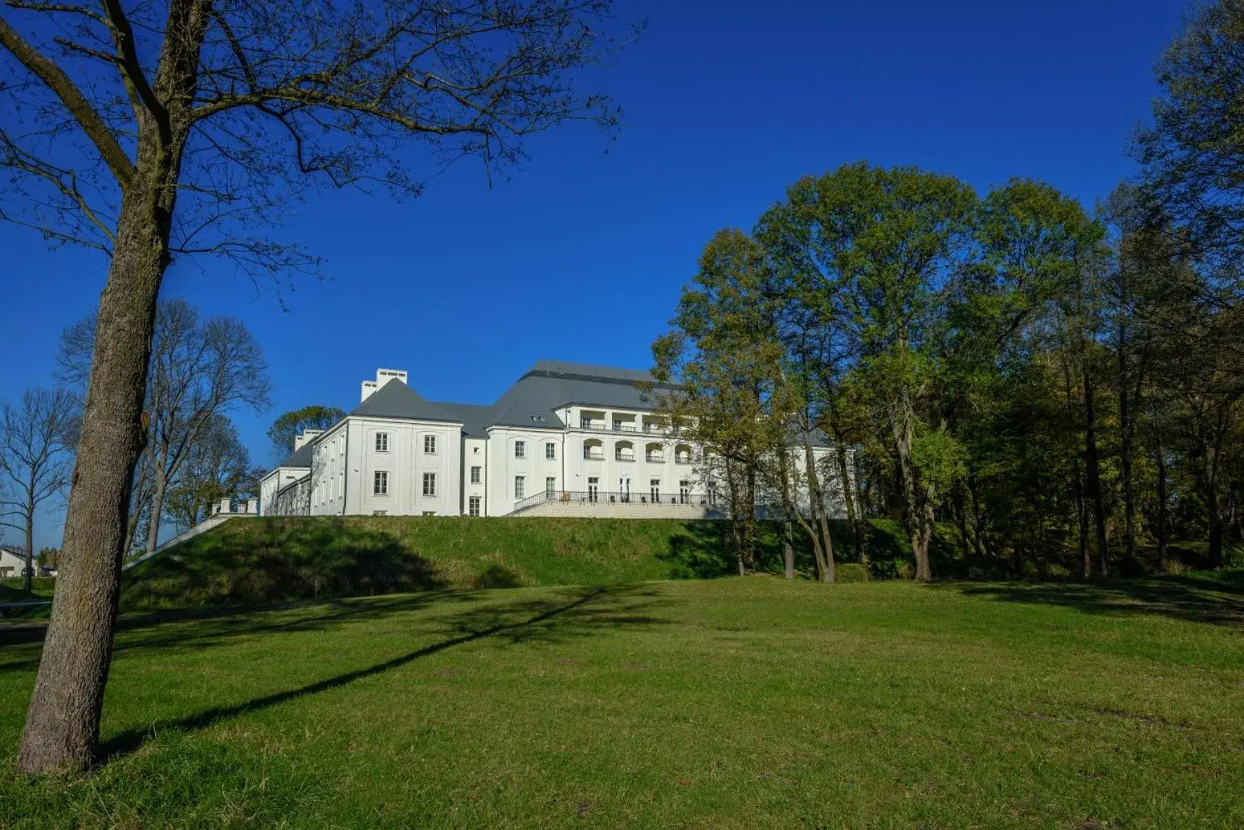 Property building in Zamek Janów Podlaski Property building in Zamek Janów Podlaski