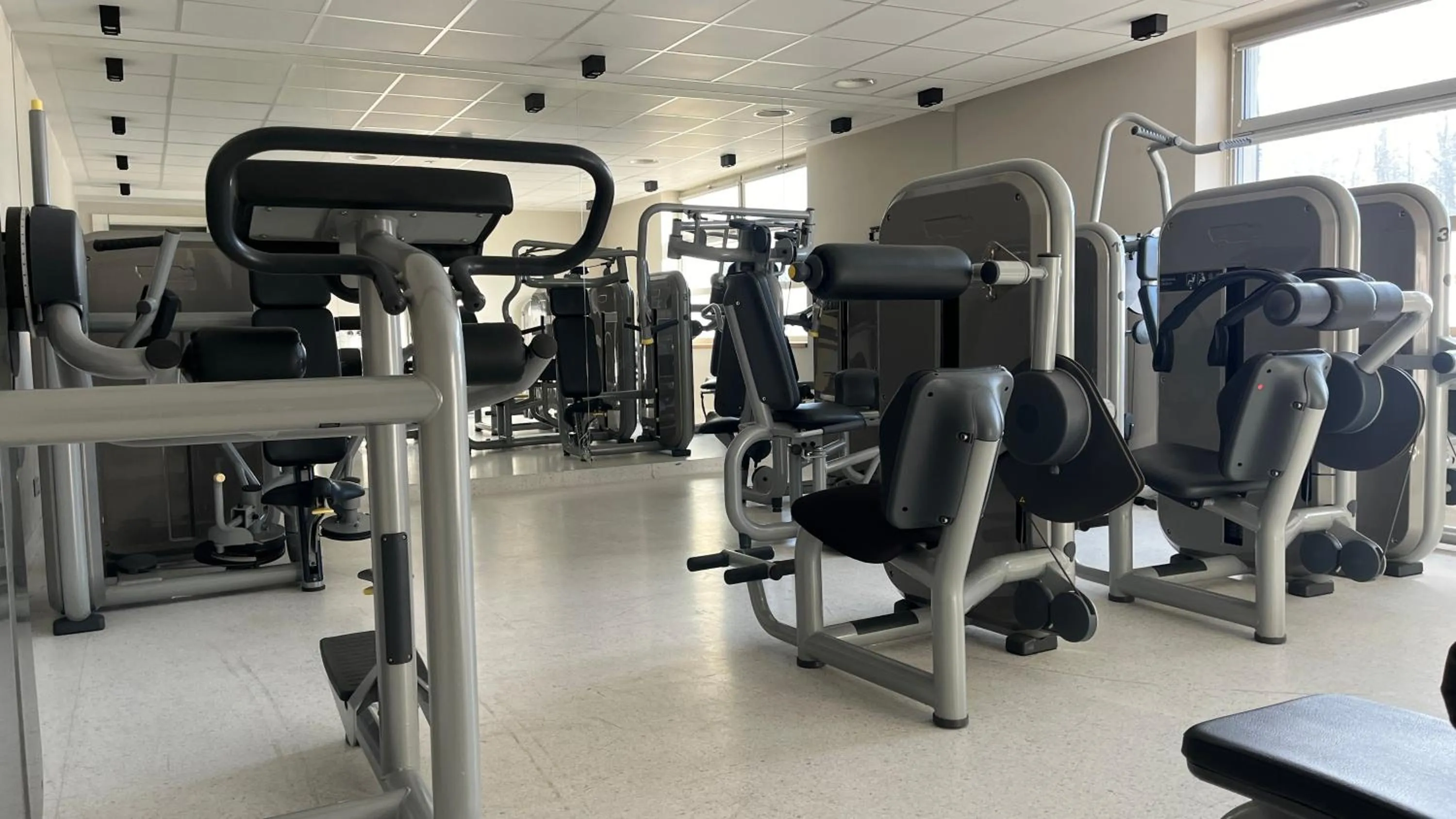 Fitness centre/facilities in Zamek Janów Podlaski