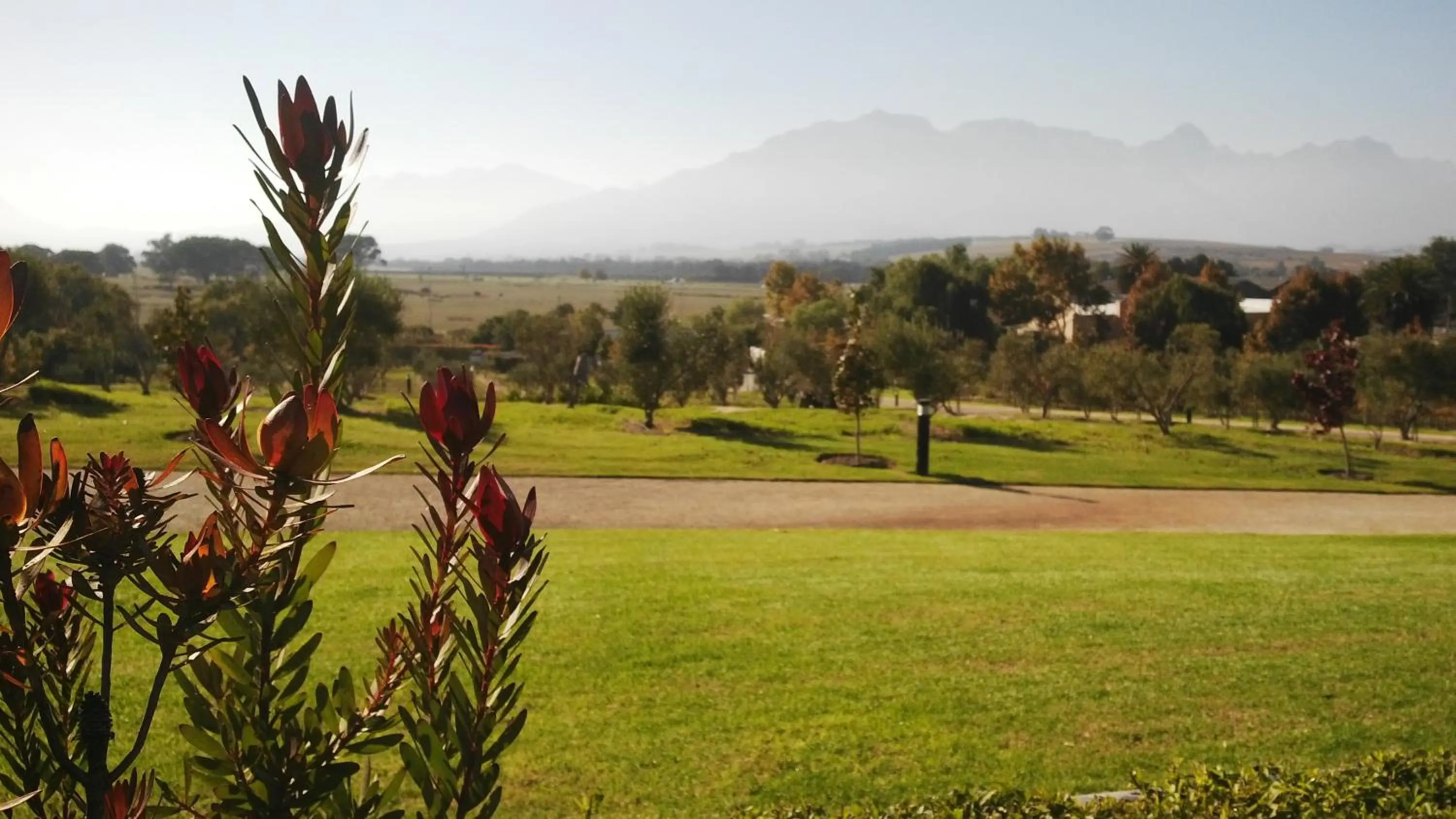 Natural landscape in Wild Mushroom Country House