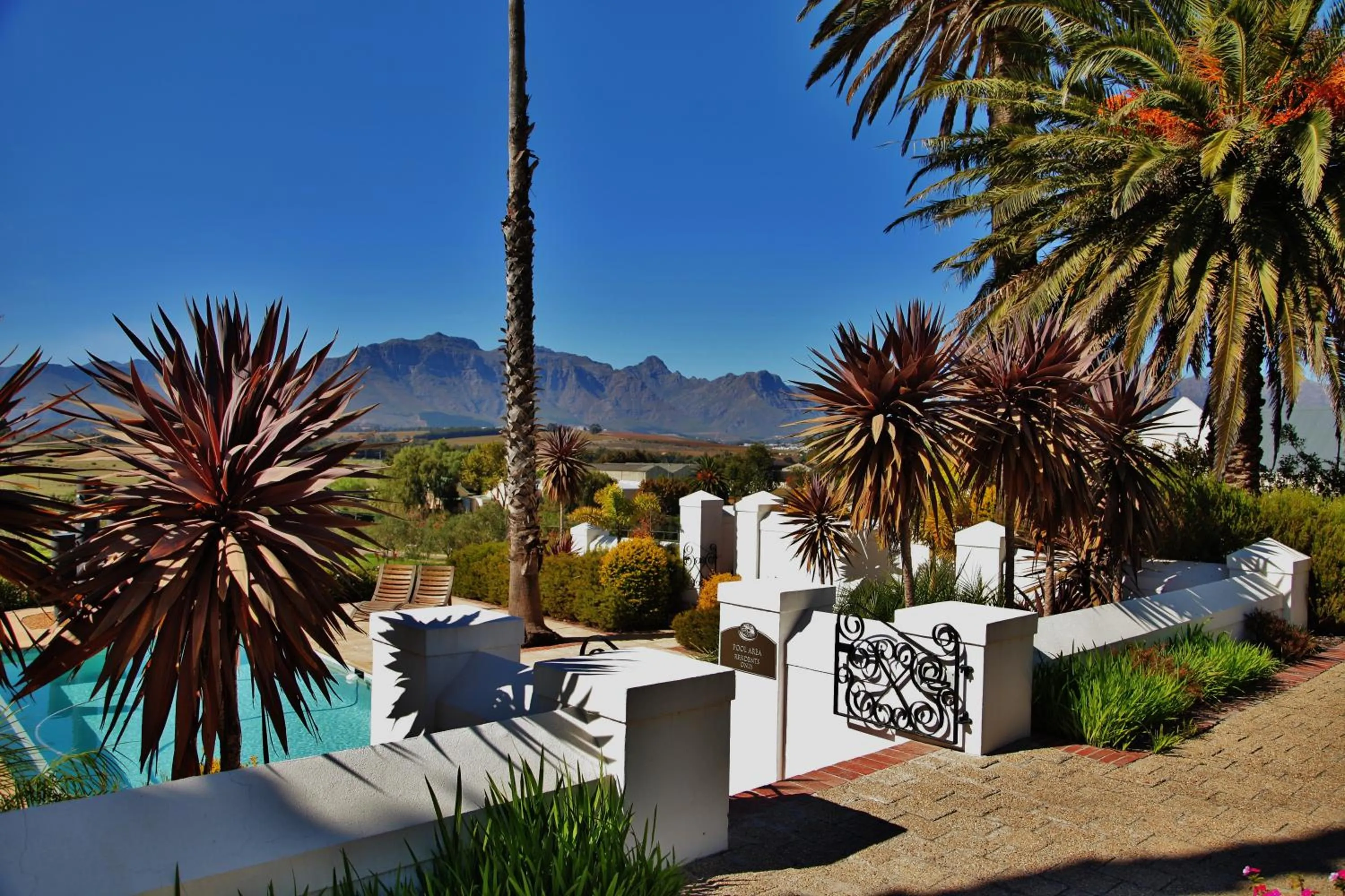 Day in Wild Mushroom Country House