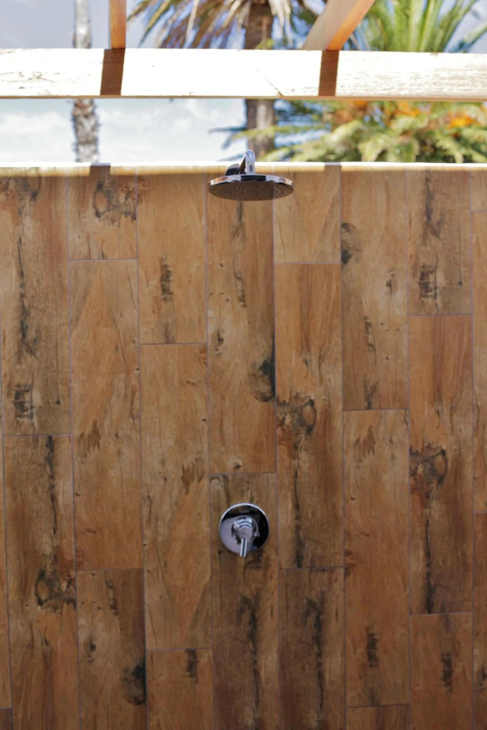 Shower in Wild Mushroom Country House