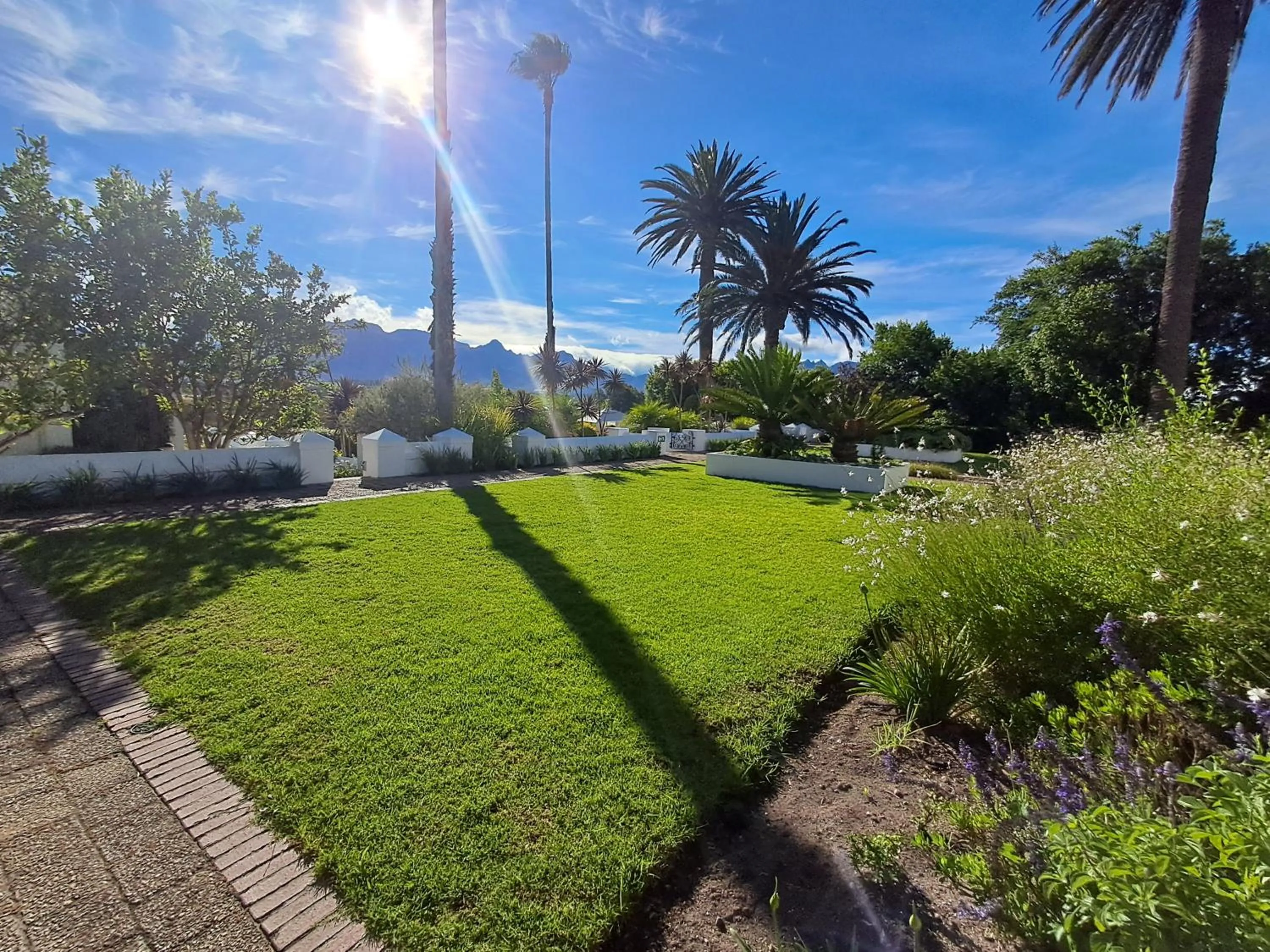 Garden in Wild Mushroom Country House