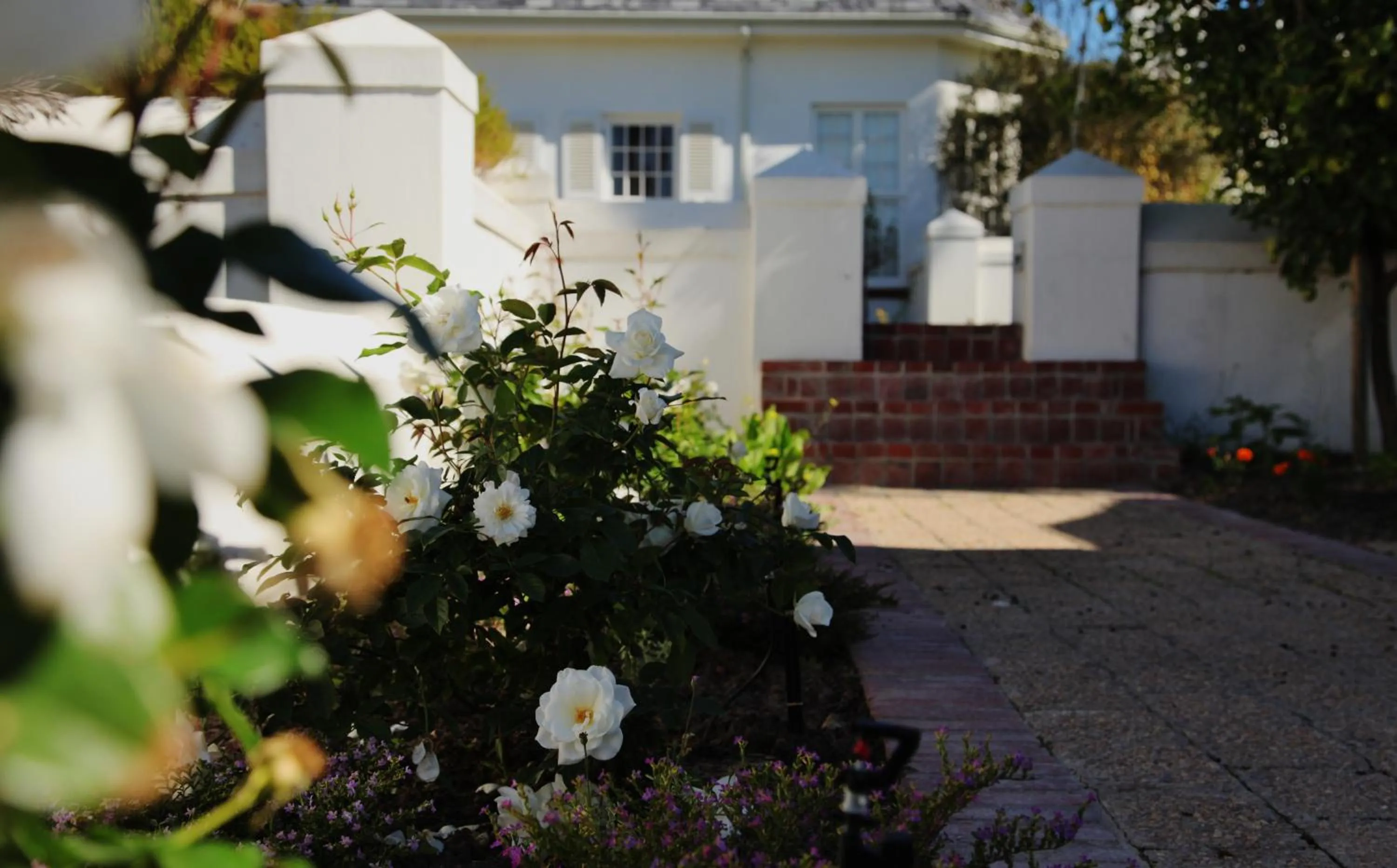 Property building in Wild Mushroom Country House