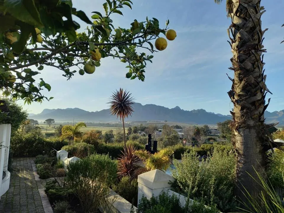 Natural landscape in Wild Mushroom Country House