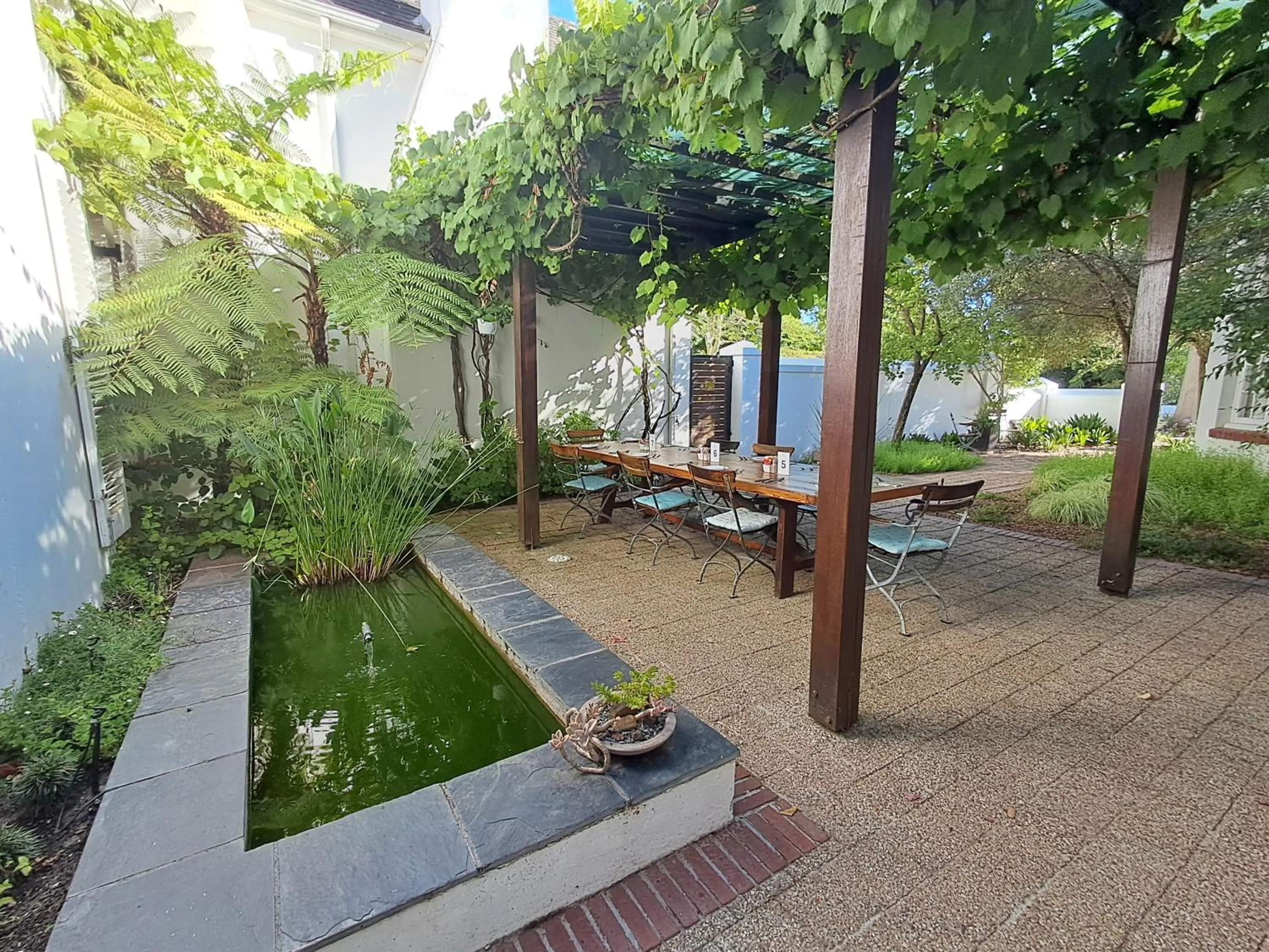 Breakfast in Wild Mushroom Country House