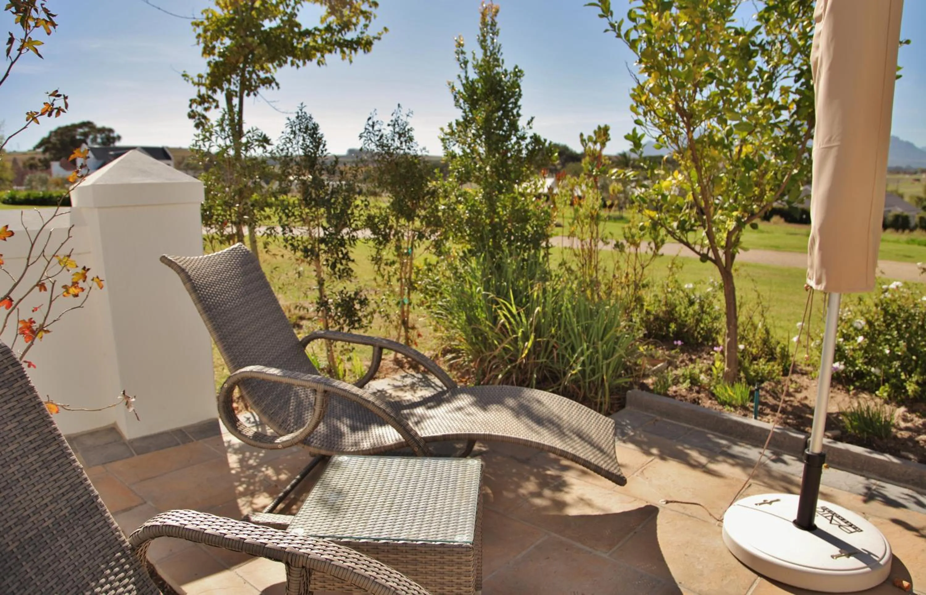 Garden in Wild Mushroom Country House