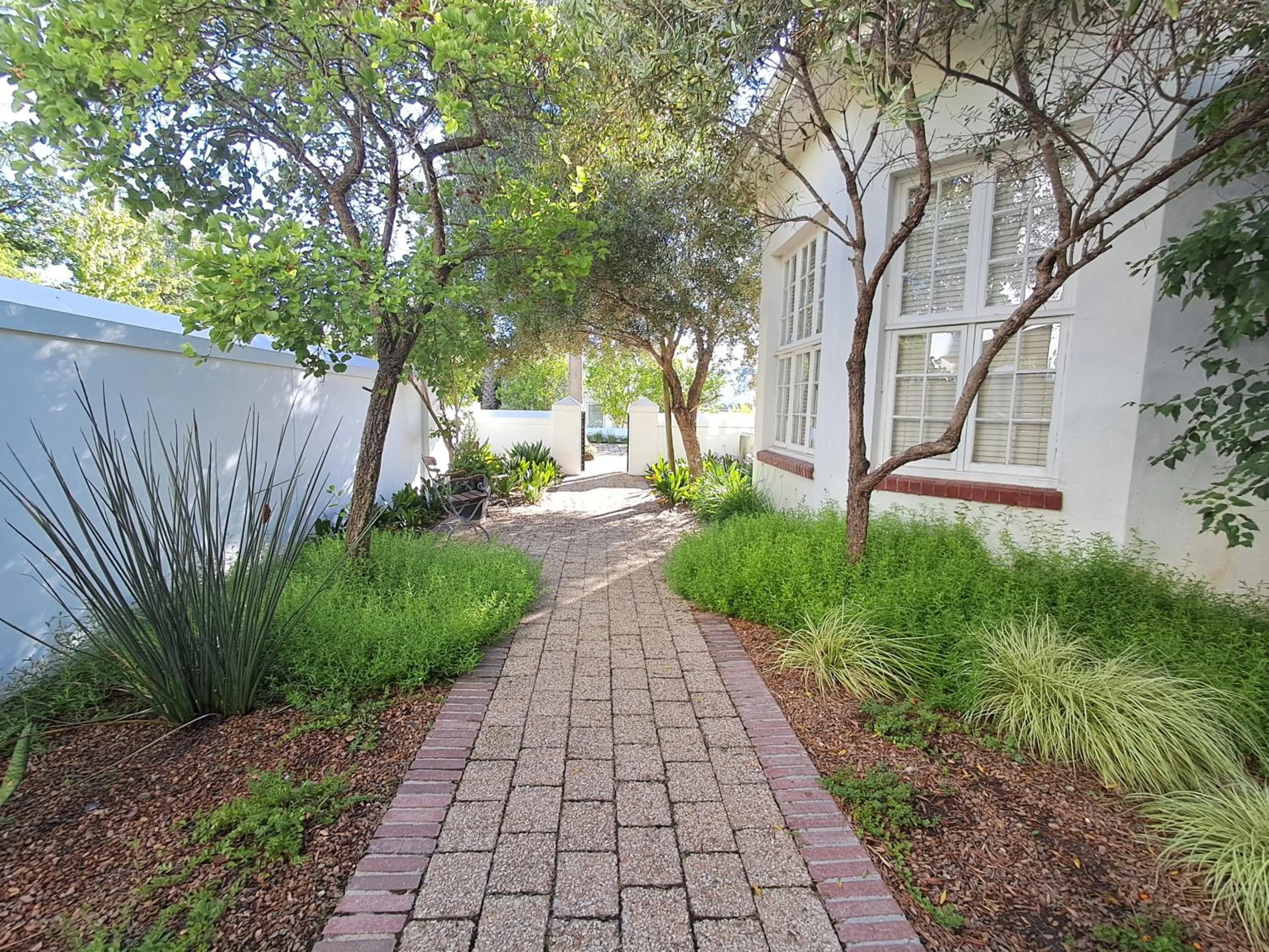 Garden in Wild Mushroom Country House