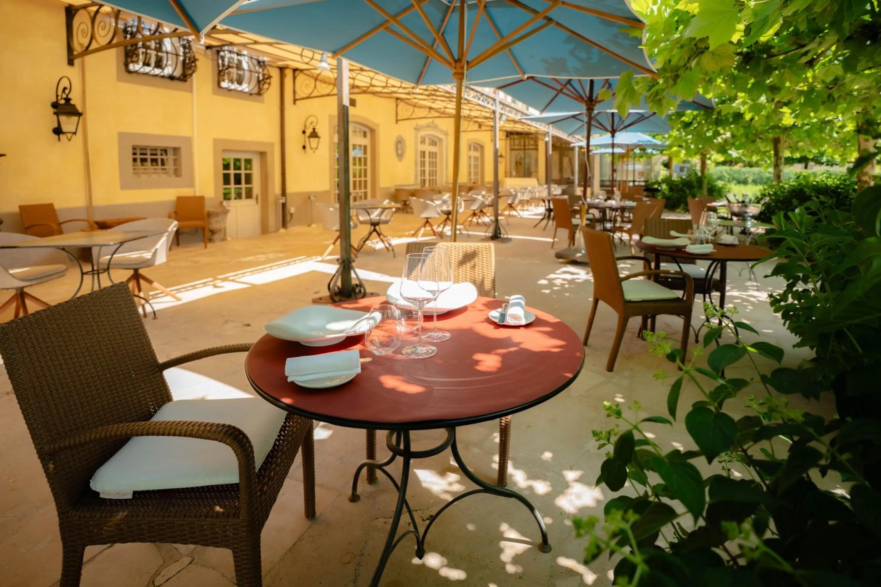 Chateau De Germigney