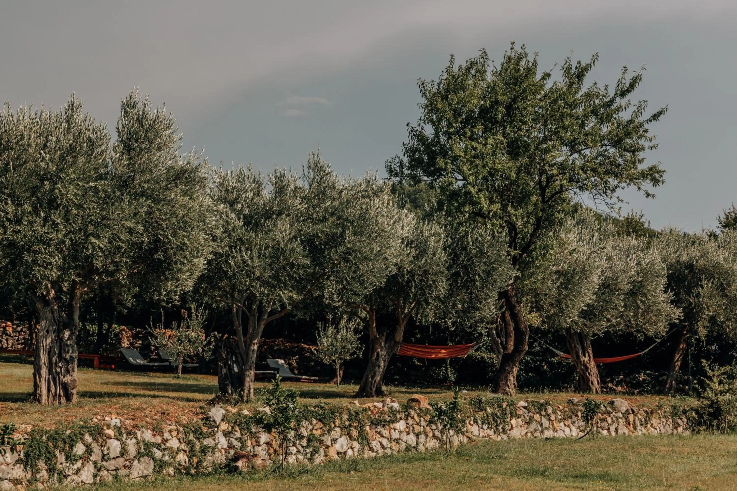 Day in Talići Hill - Rustic Villas
