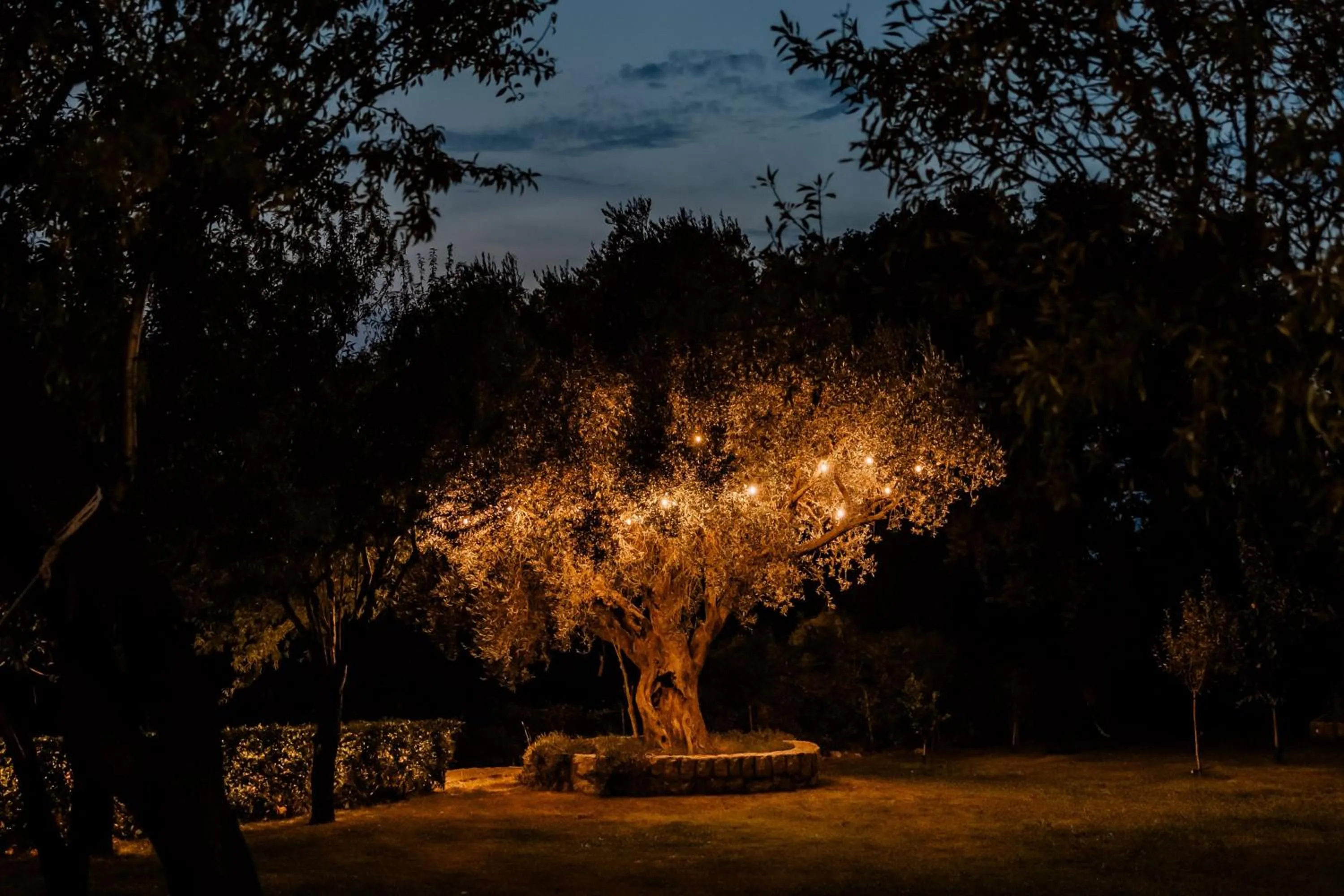 Night in Talići Hill - Rustic Villas