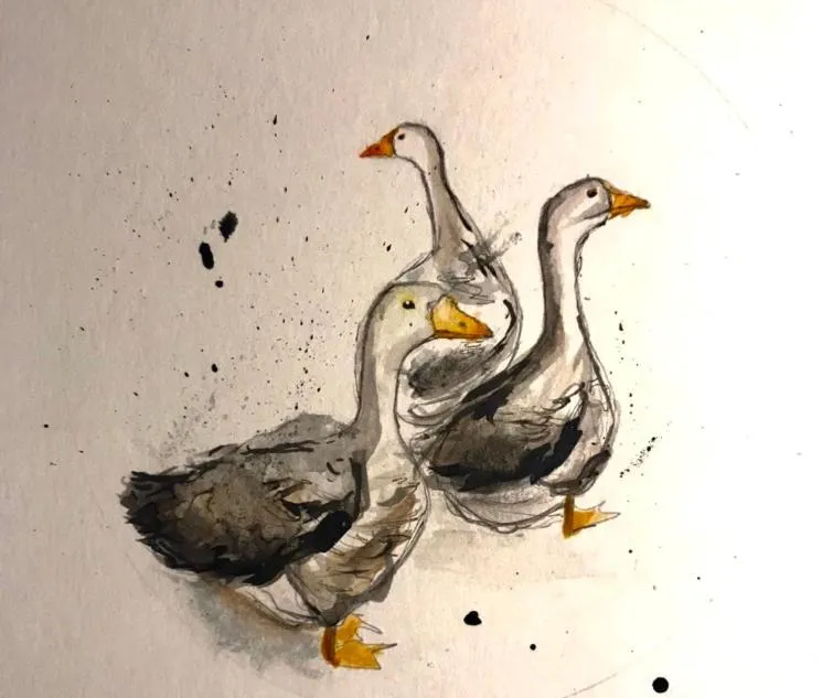 " Venez DormiR Chez Nous " #Condom#Gascogne#d'Artagnan#Armagnac#Le Bonheur est dans le GERS