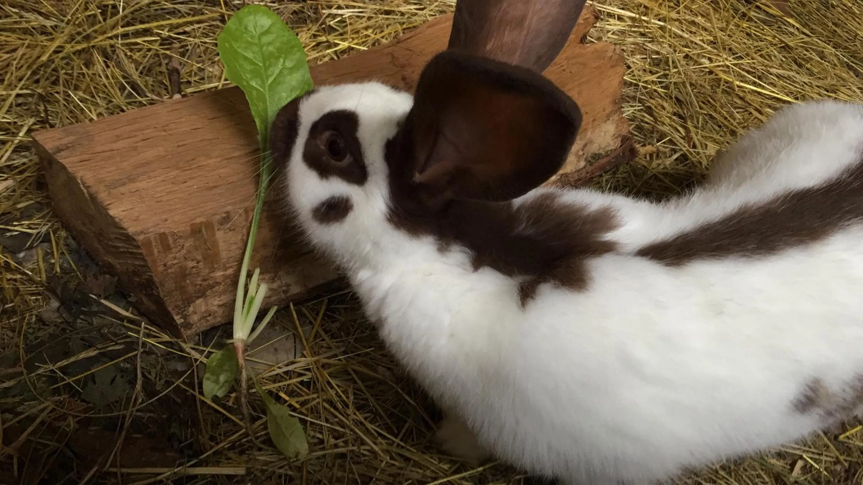 " Venez DormiR Chez Nous " #Condom#Gascogne#d'Artagnan#Armagnac#Le Bonheur est dans le GERS