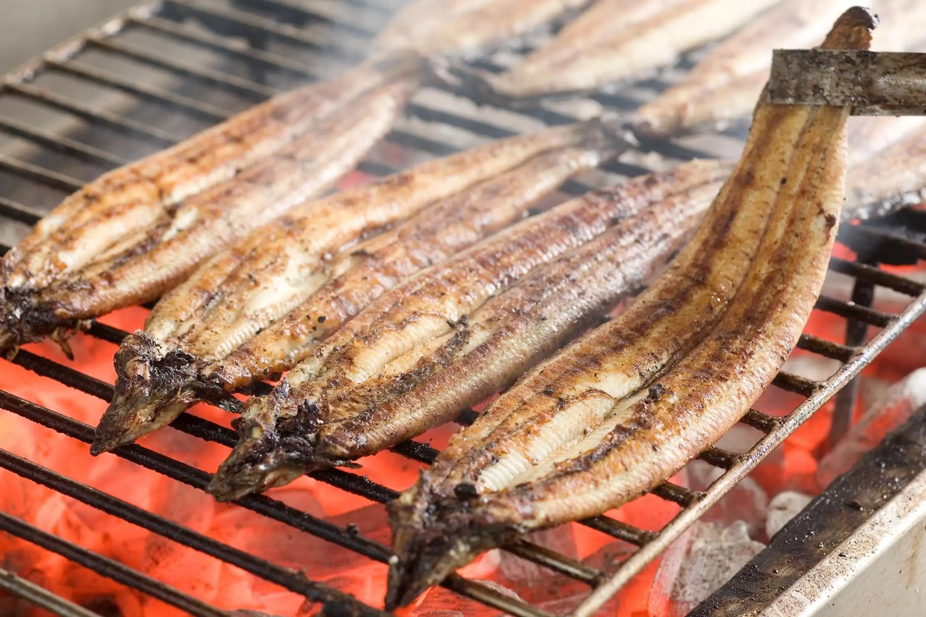 Food close-up in Yanagawa Hakuryuso Food close-up in Yanagawa Hakuryuso