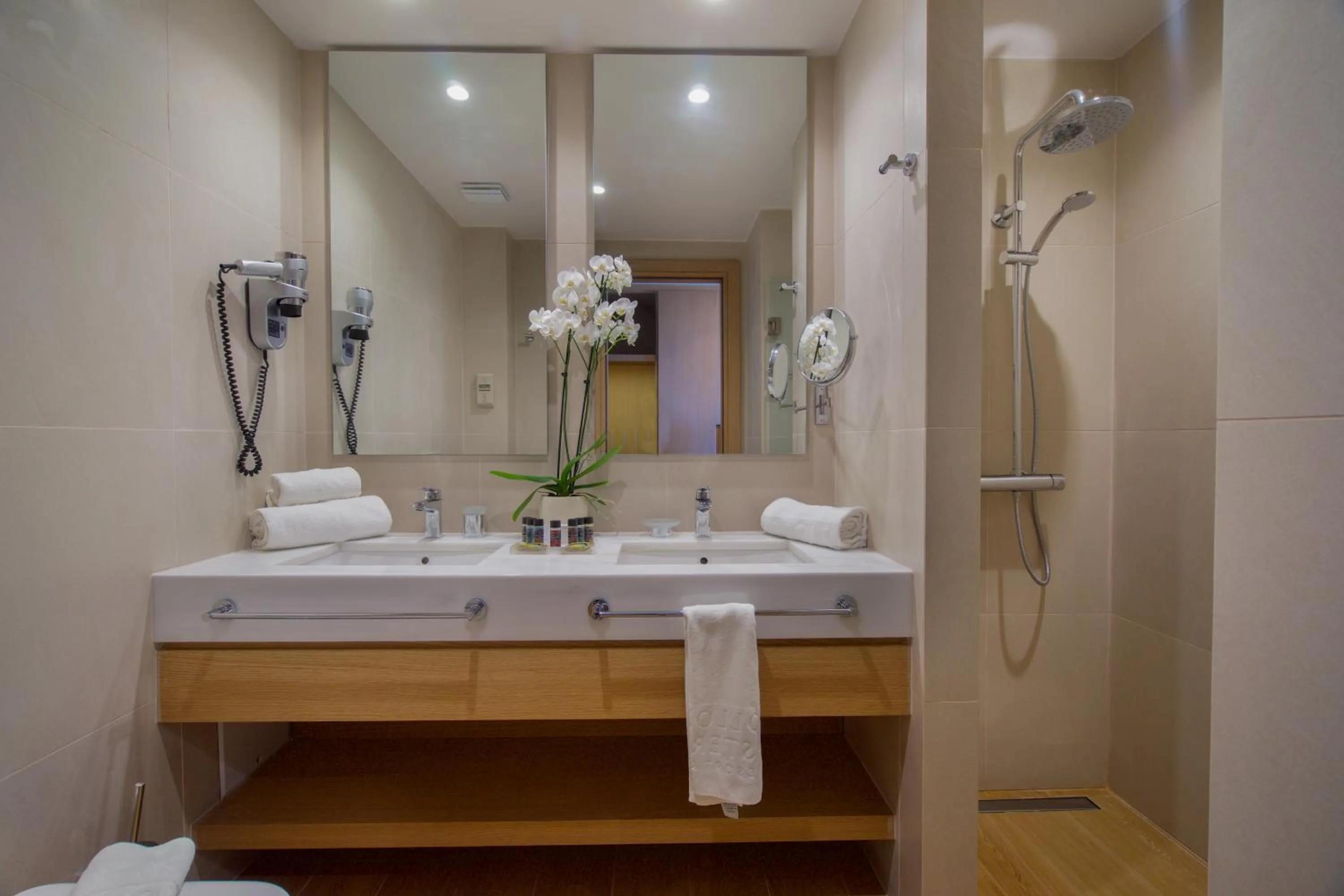 Bathroom in Apollonion Asterias Resort and Spa