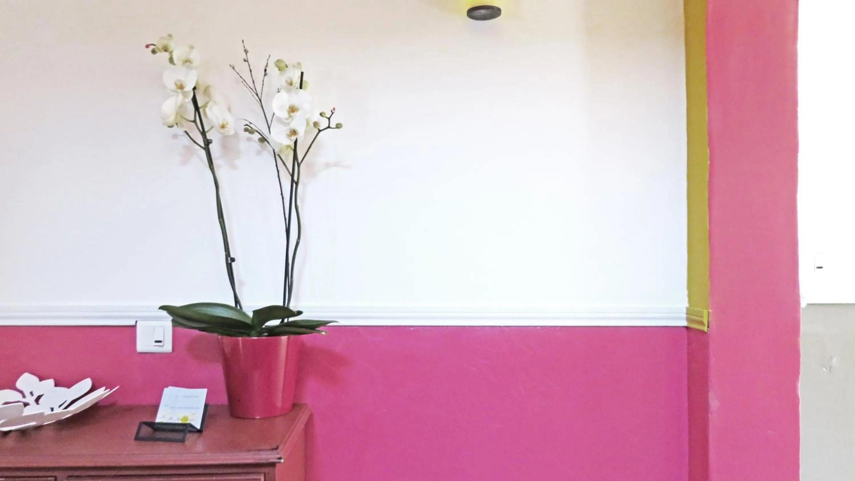 Area and facilities in Hotel mon Soleil