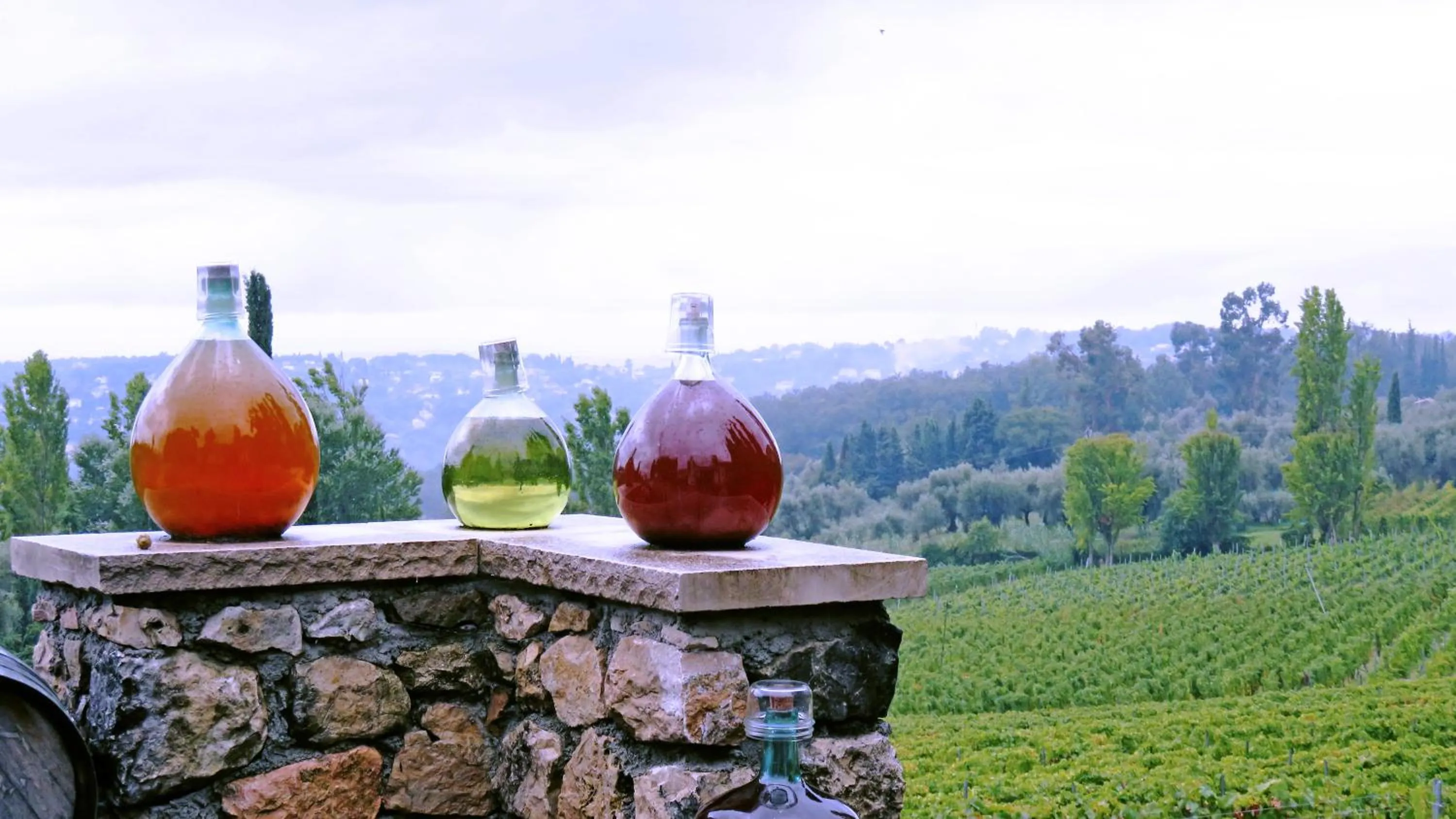 Area and facilities in Hotel mon Soleil