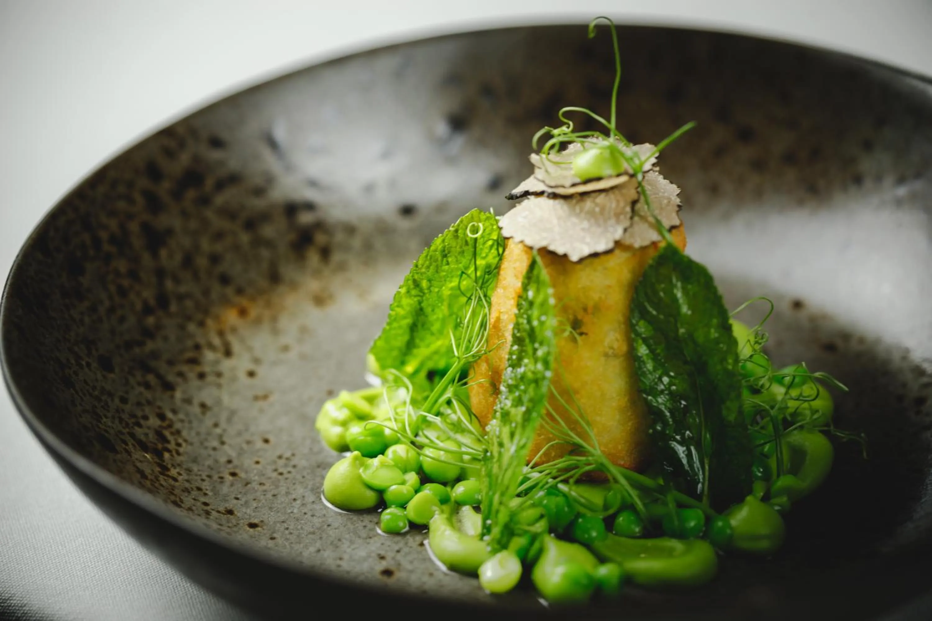 Restaurant/places to eat in The Salutation Inn