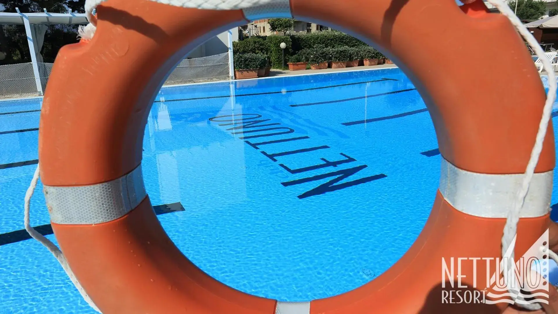 Swimming pool, Water Park in Nettuno Resort