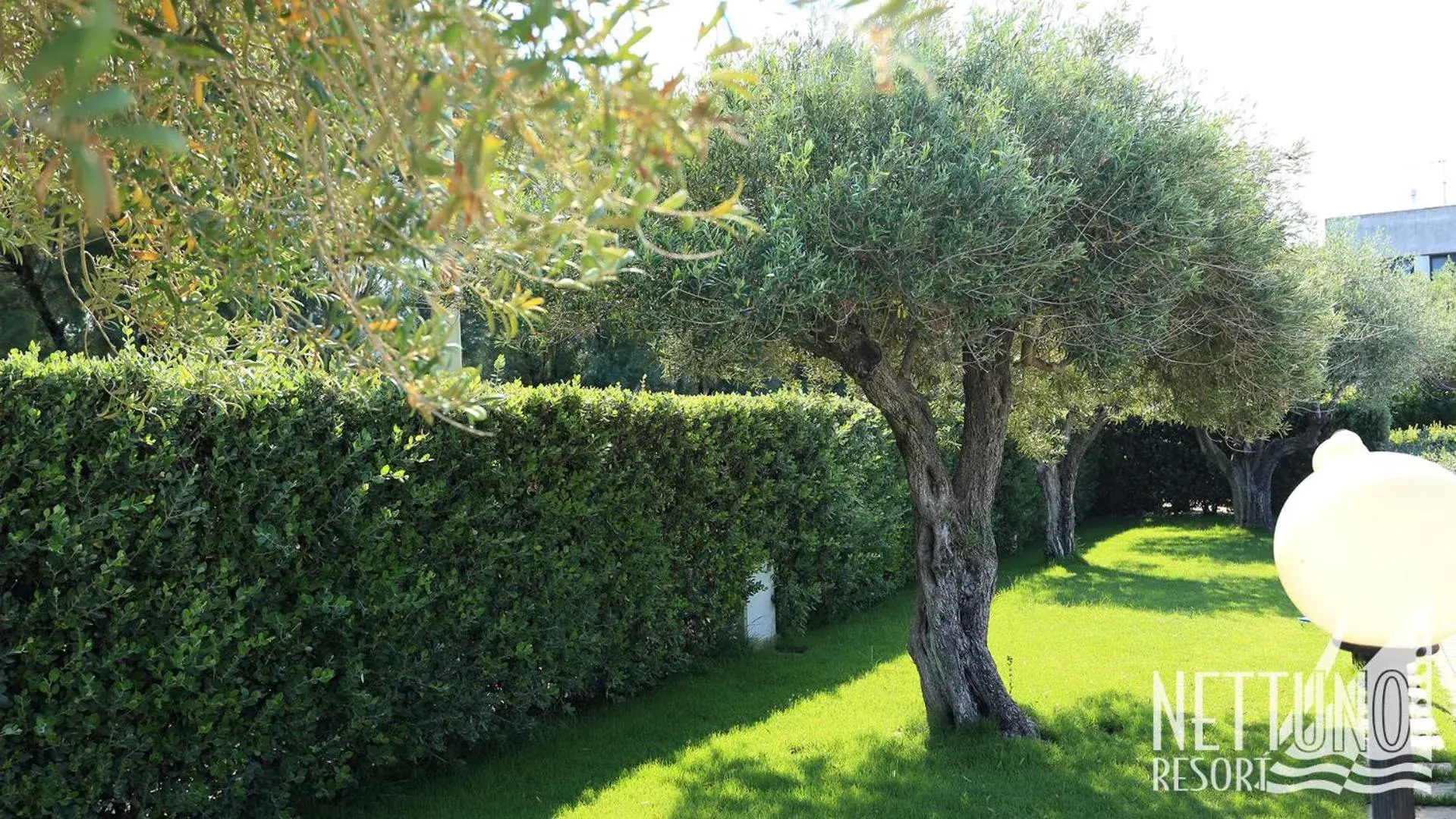 Swimming pool, Garden in Nettuno Resort