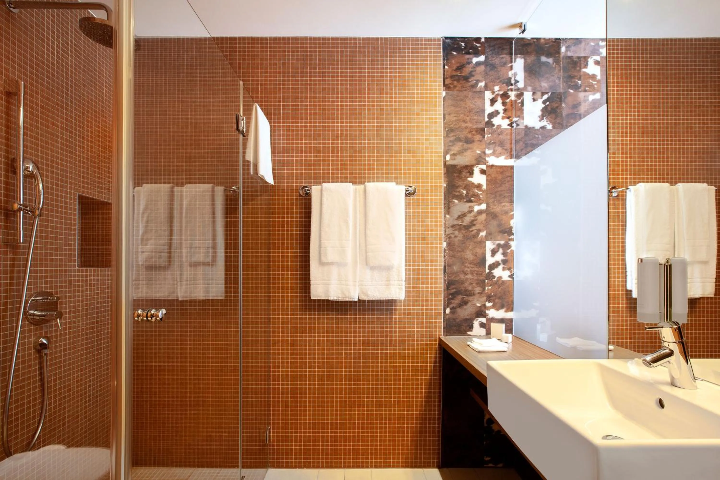 Bathroom in Tailormade Hotel SIHLPARK Schindellegi