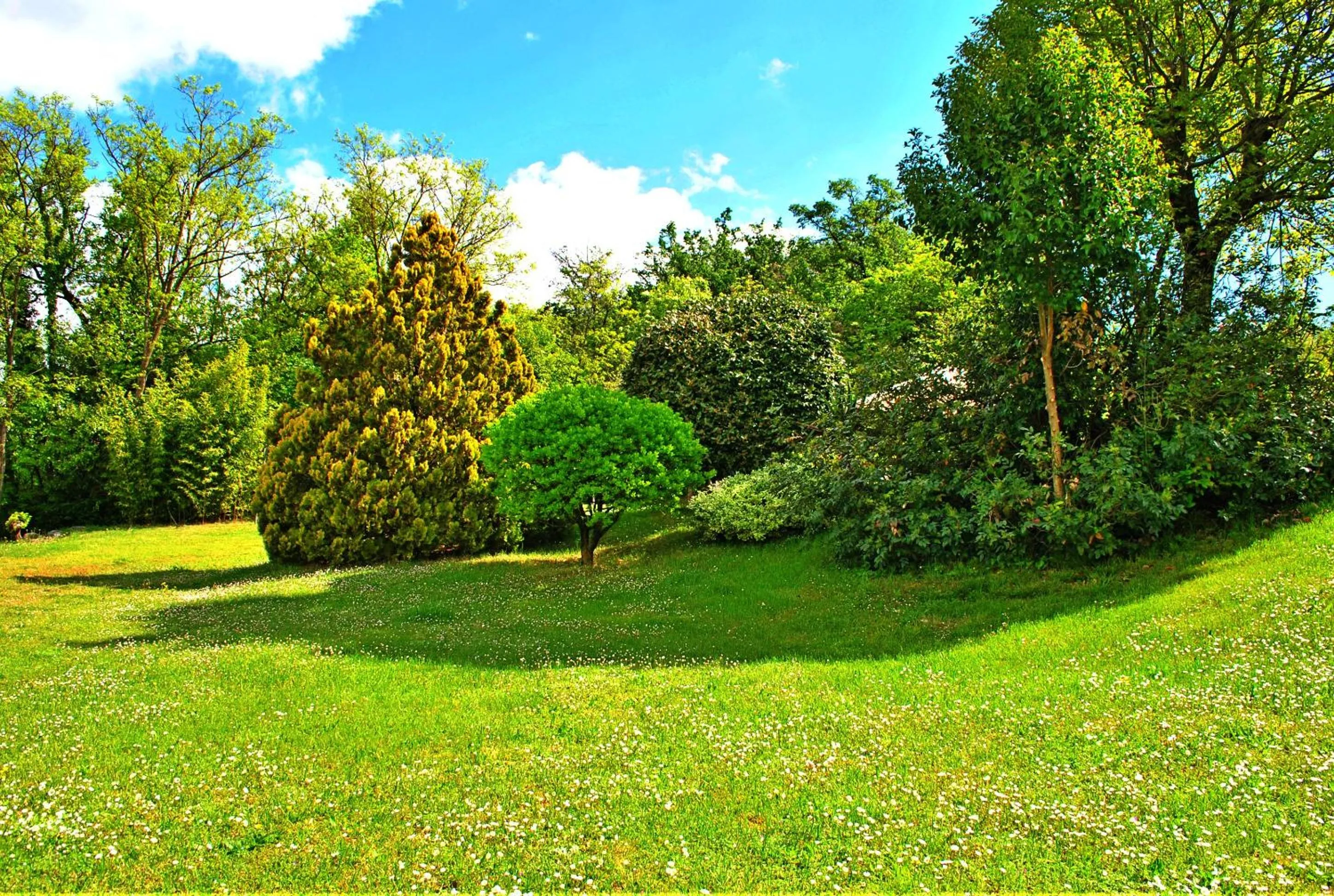 Garden in B&B Marienn