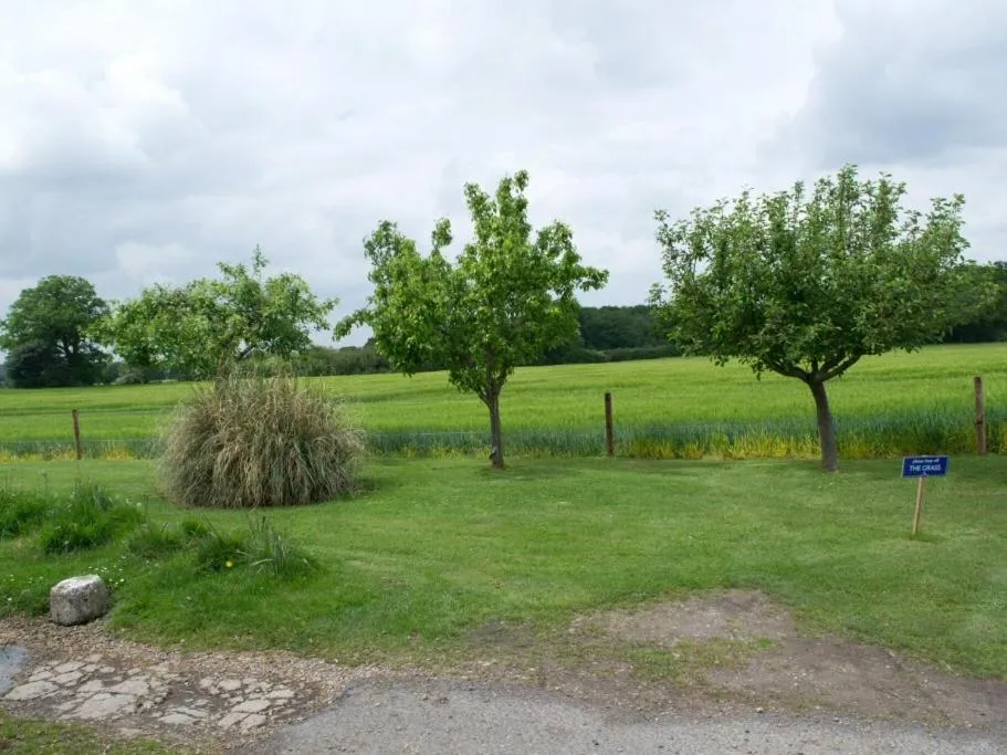 View (from property/room) in Woodview B Colchester