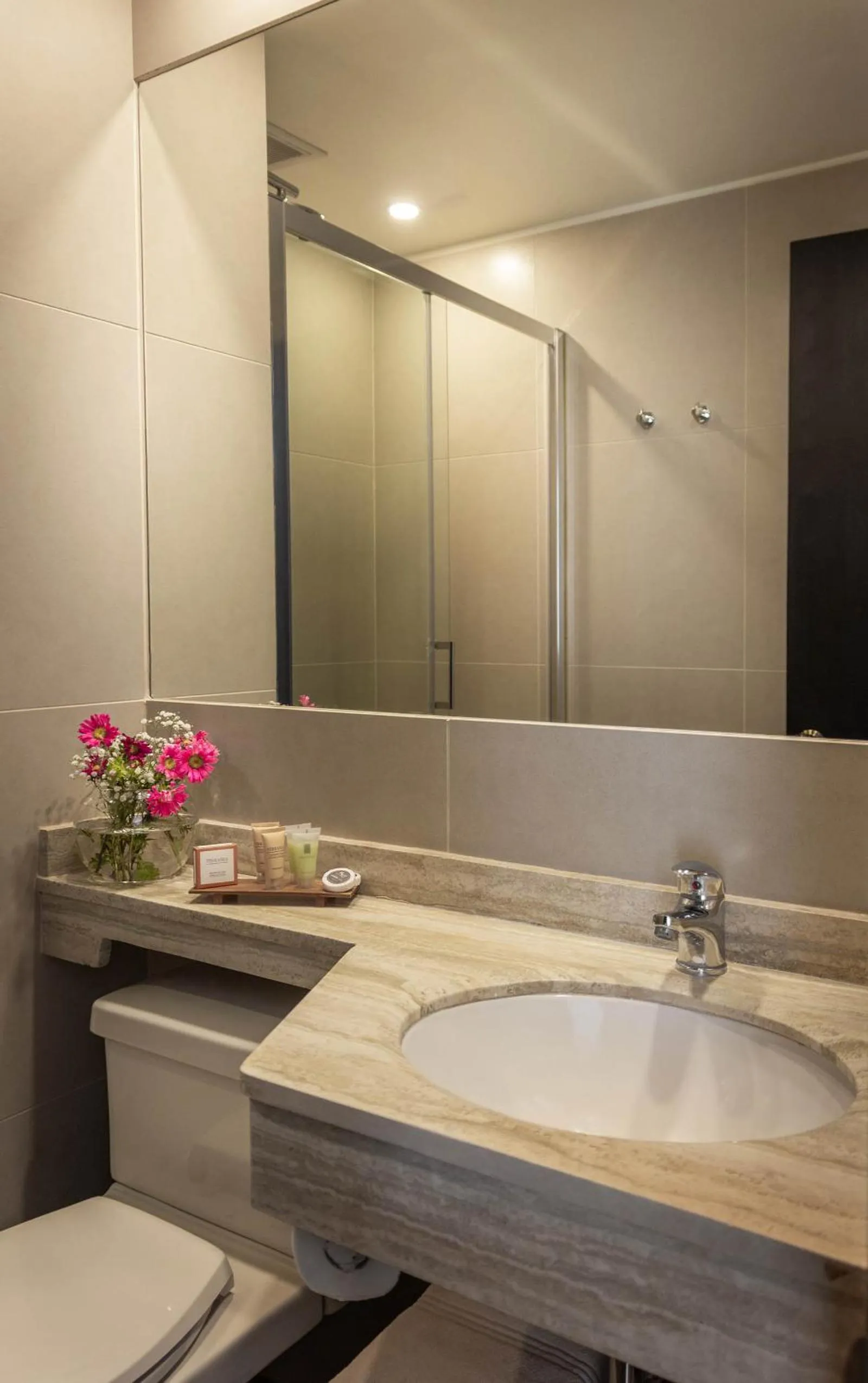 Toilet in Hotel Fundador