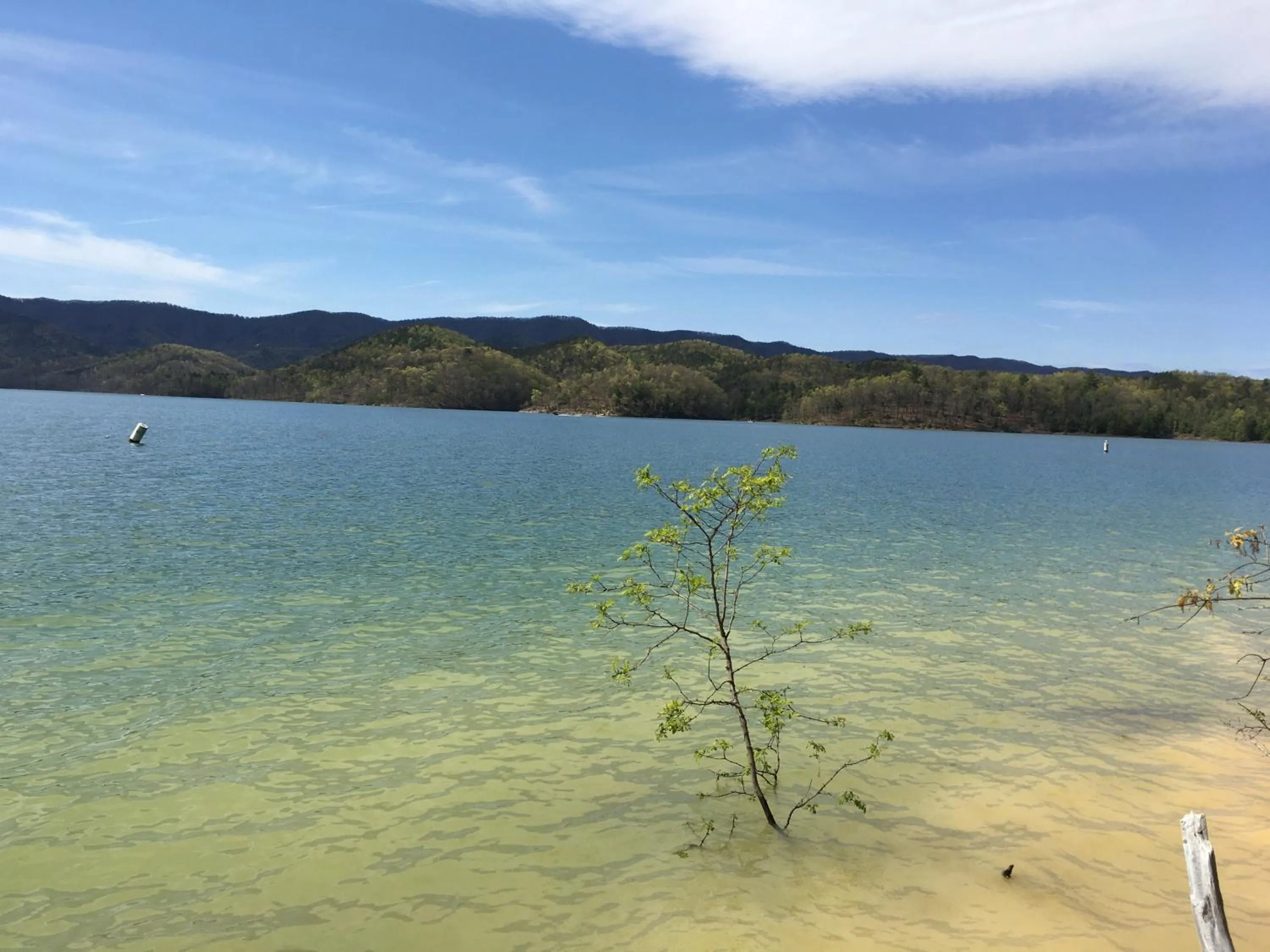 Day in Budget Inn near WestRock