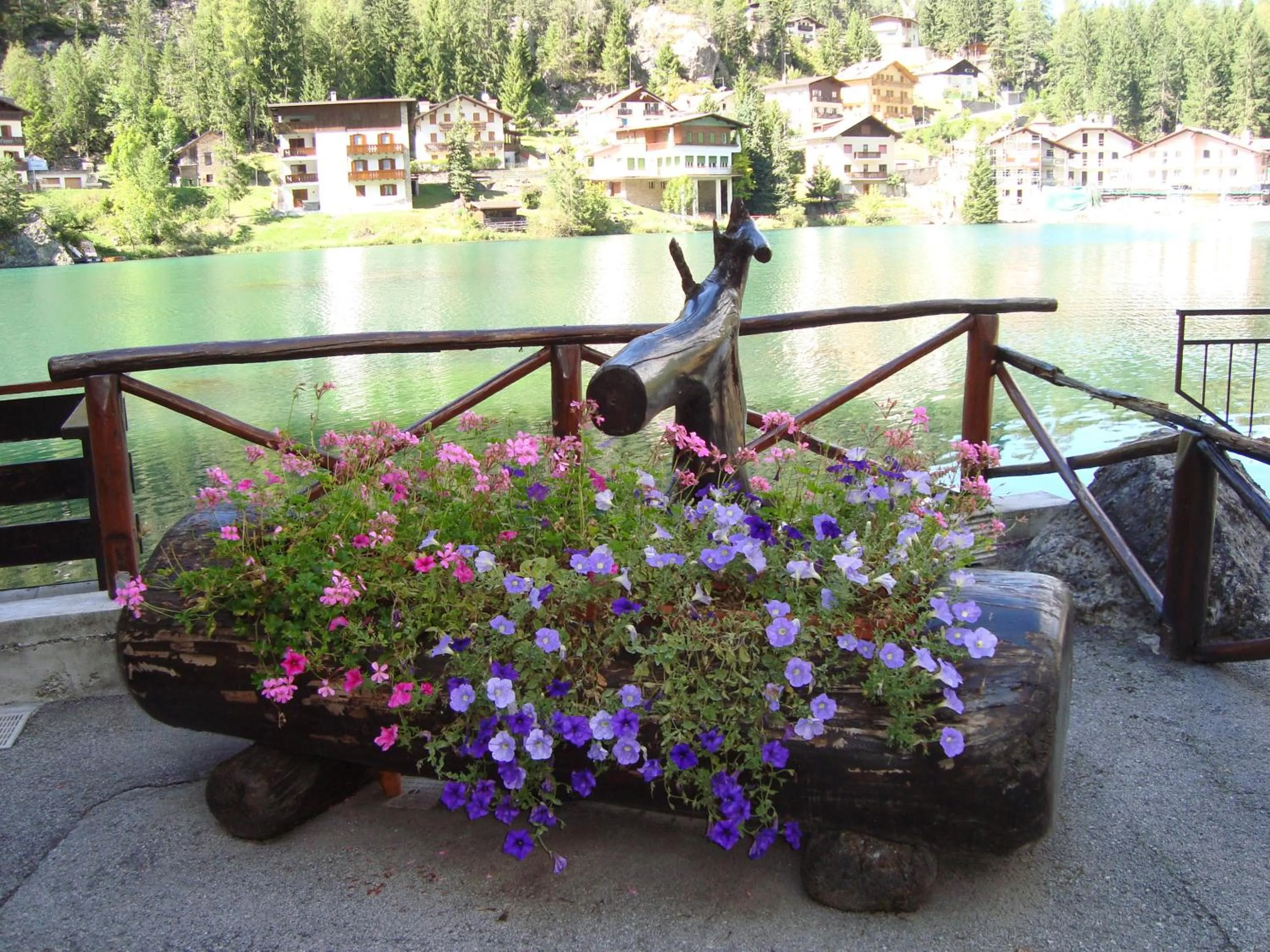 Day in Hotel Adriana