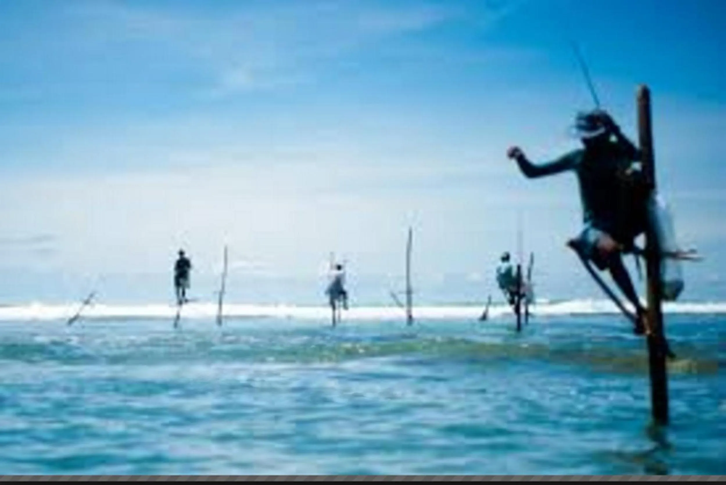 Fishing in Coralworld Hotel