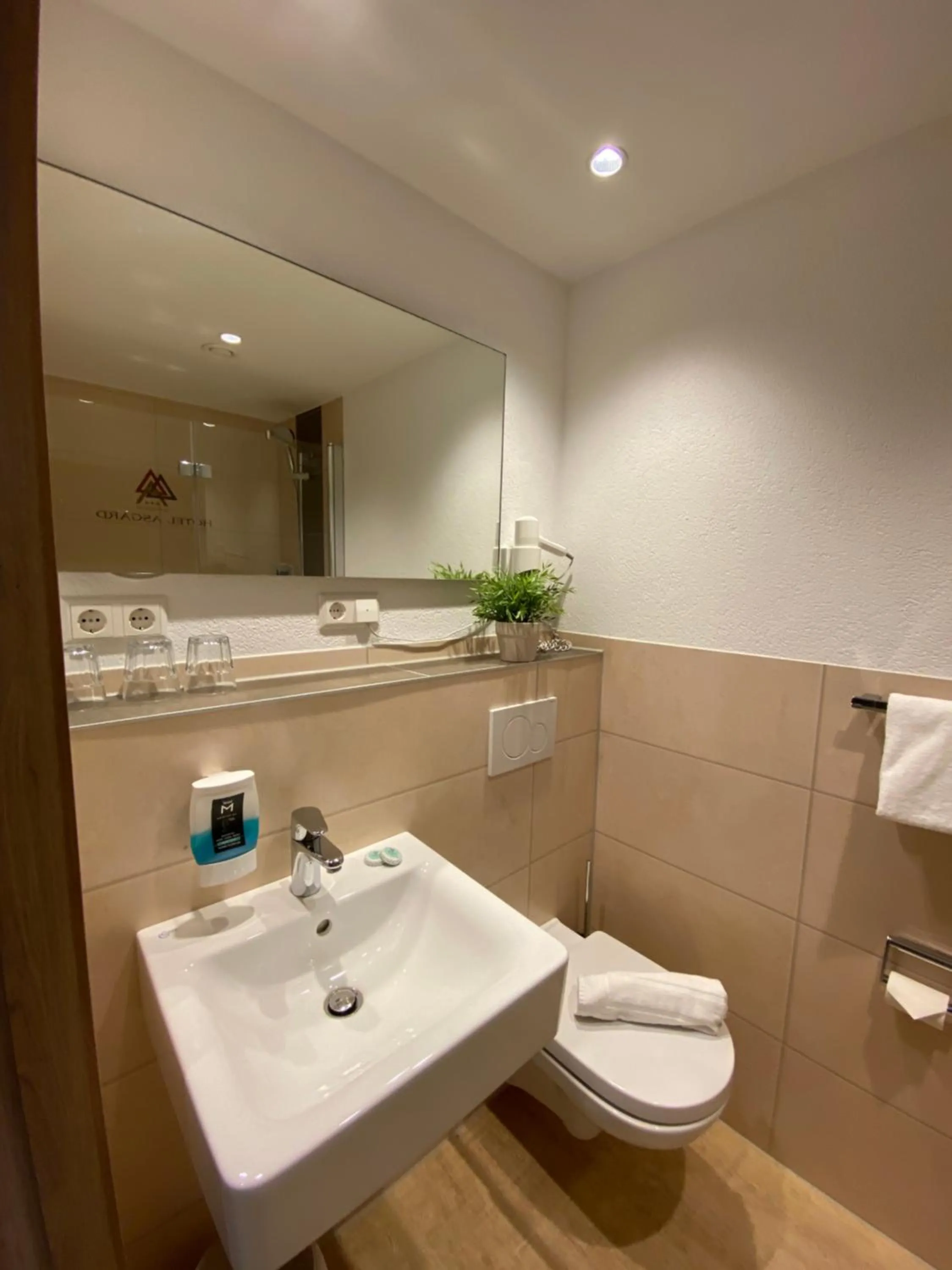 Bathroom in Hotel Asgard