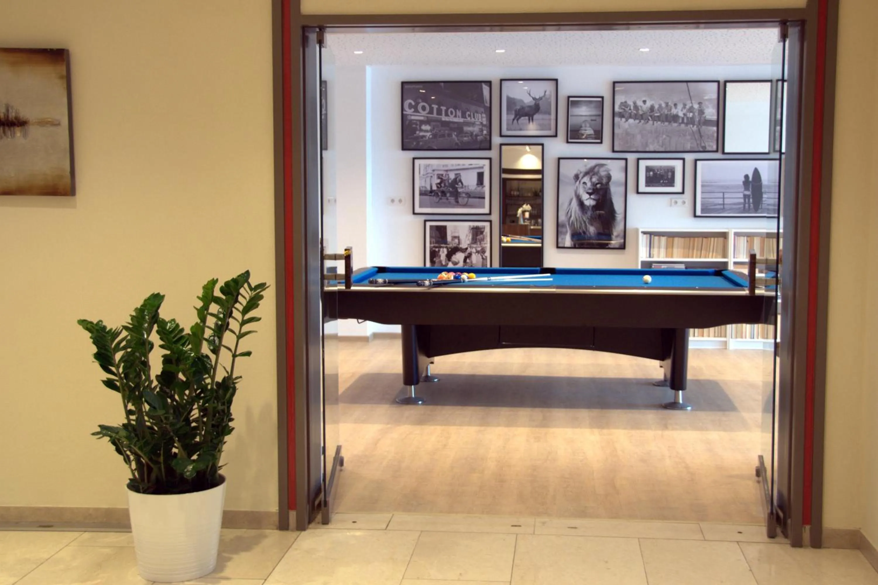 Billiard in Hotel Asgard