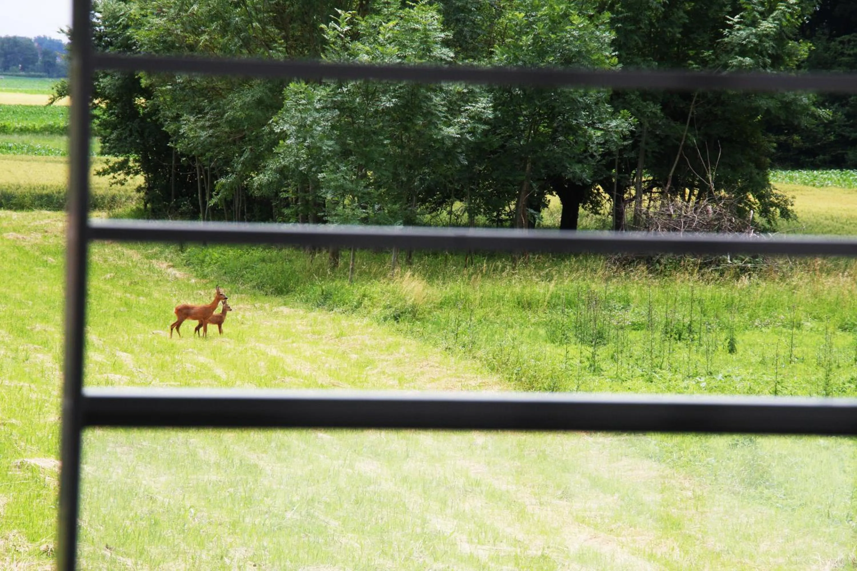View (from property/room) in Hôtel Restaurant Les Alizés