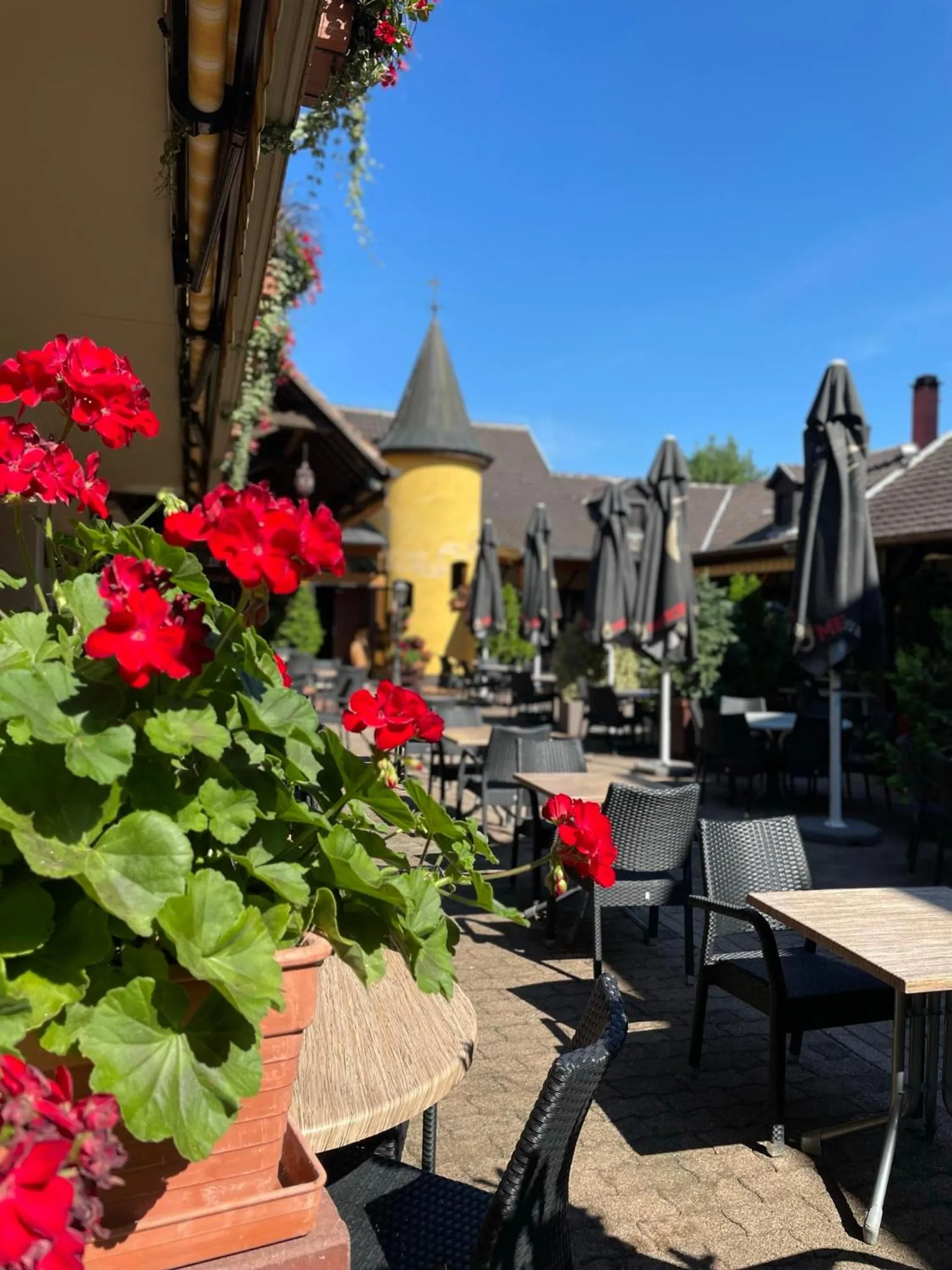 Restaurant/places to eat in Hôtel Restaurant Les Alizés