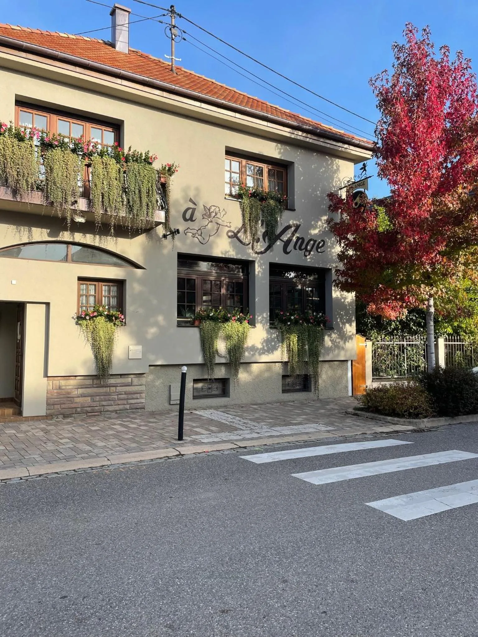 Restaurant/places to eat in Hôtel Restaurant Les Alizés