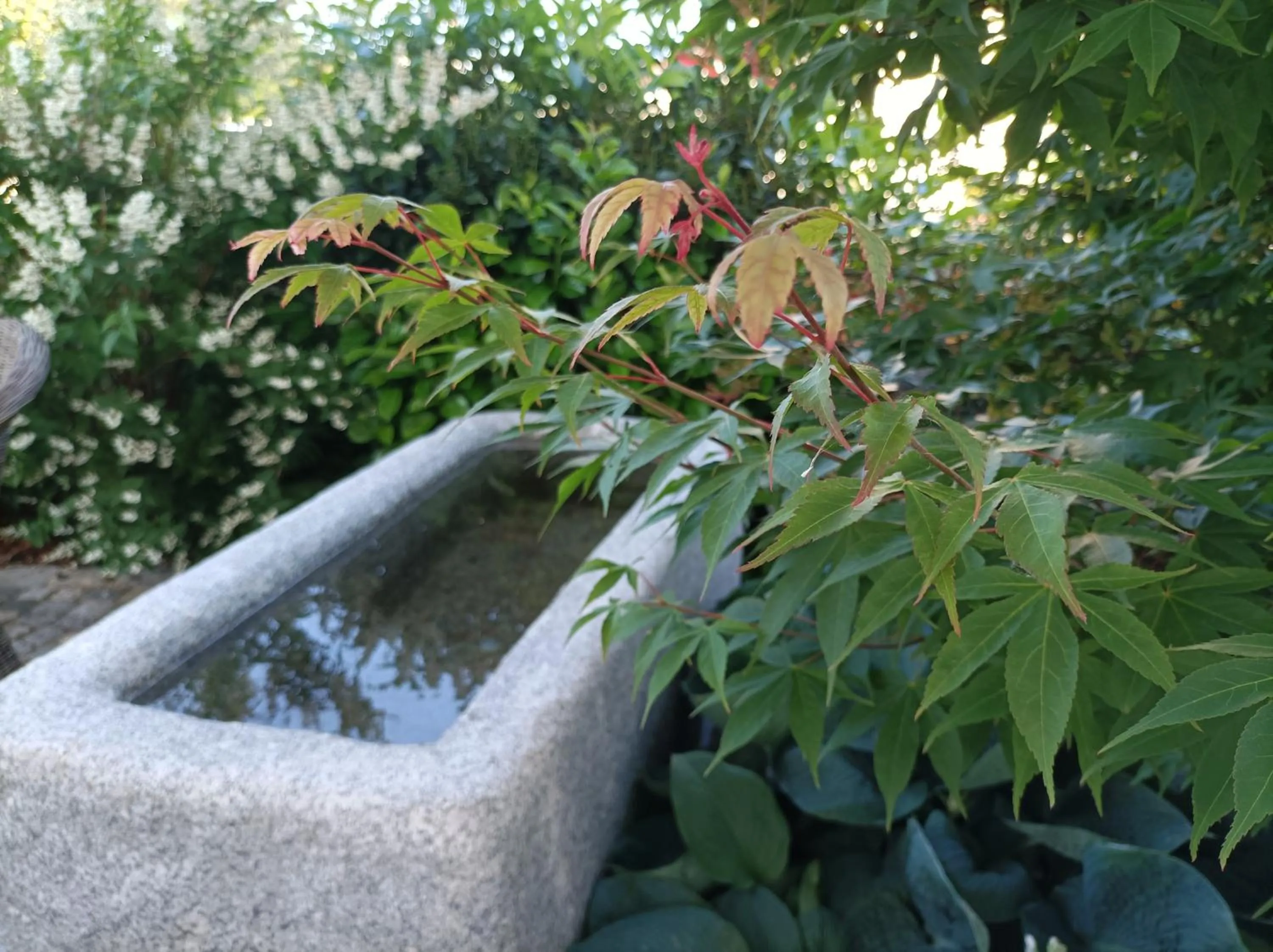 Garden in Das Kornburg-Quartier