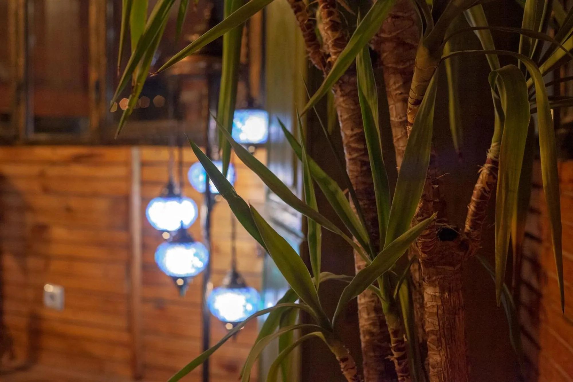 Lobby or reception in Peace Stone House