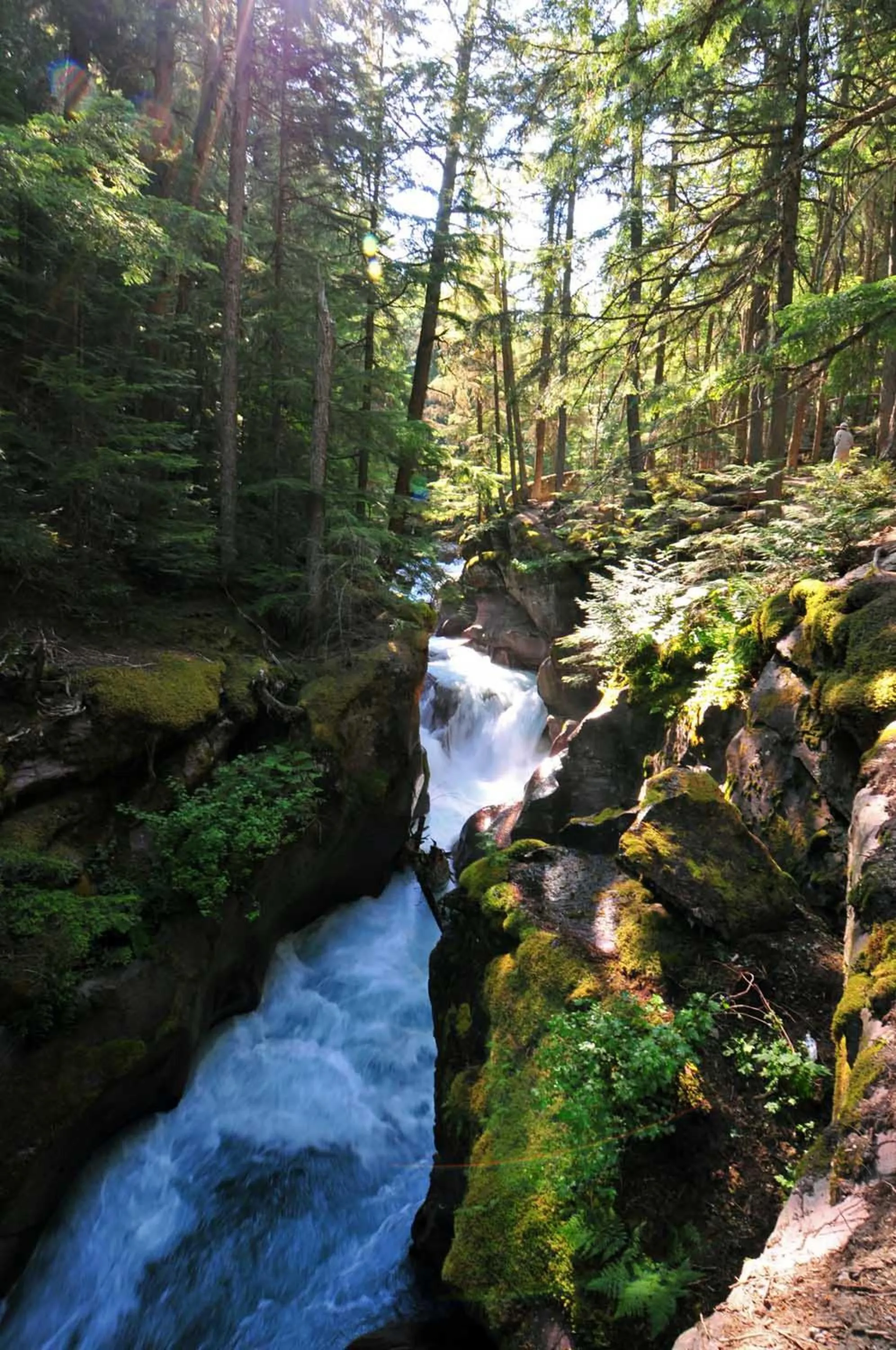 Nearby landmark in Holiday Inn Express Hotel & Suites Kalispell by IHG