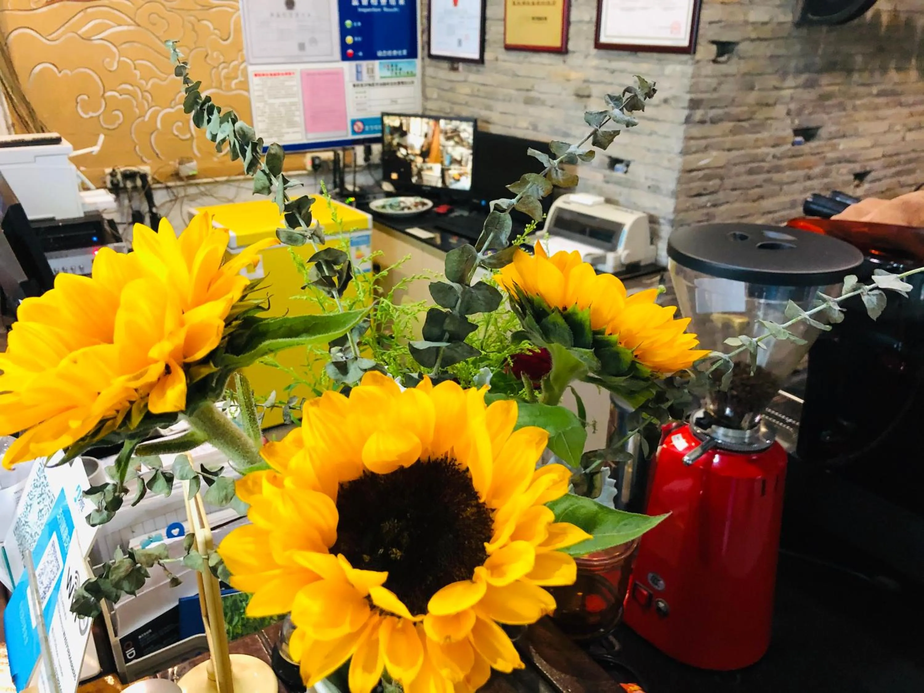 Jingdezhen International Youth Hostel