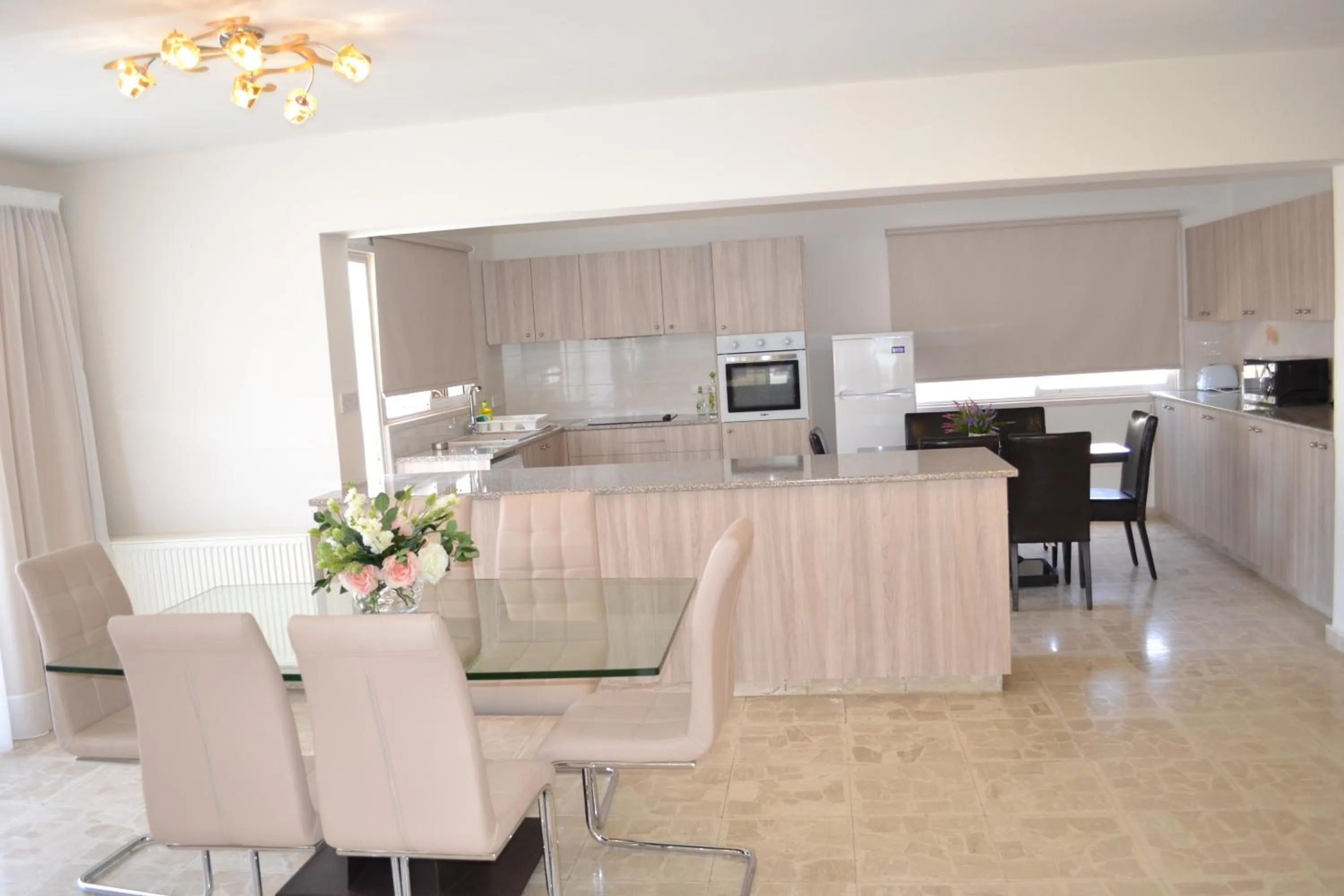 Kitchen or kitchenette in Marianna Hotel Apartments
