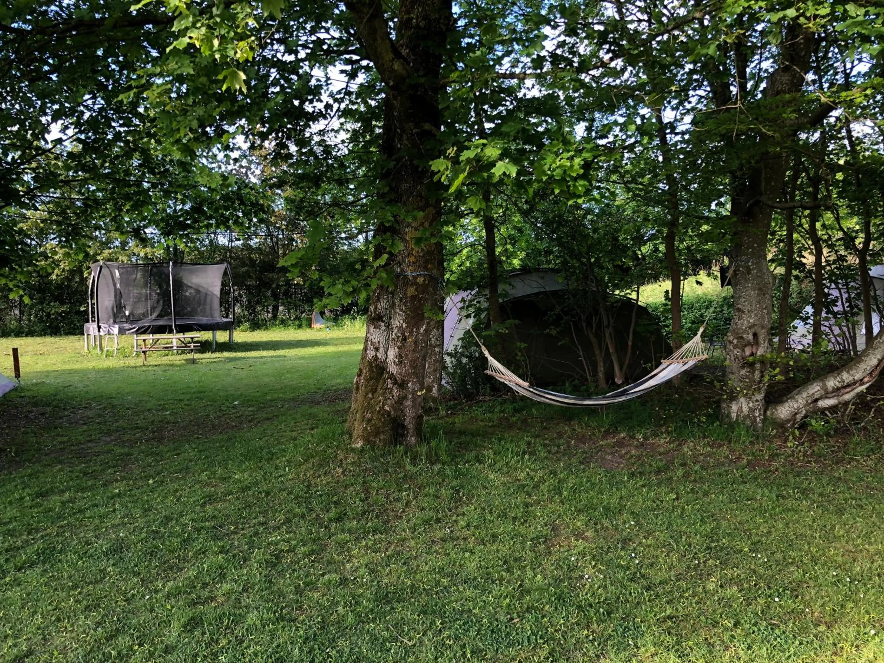 Activities in Hestkær Family Rooms