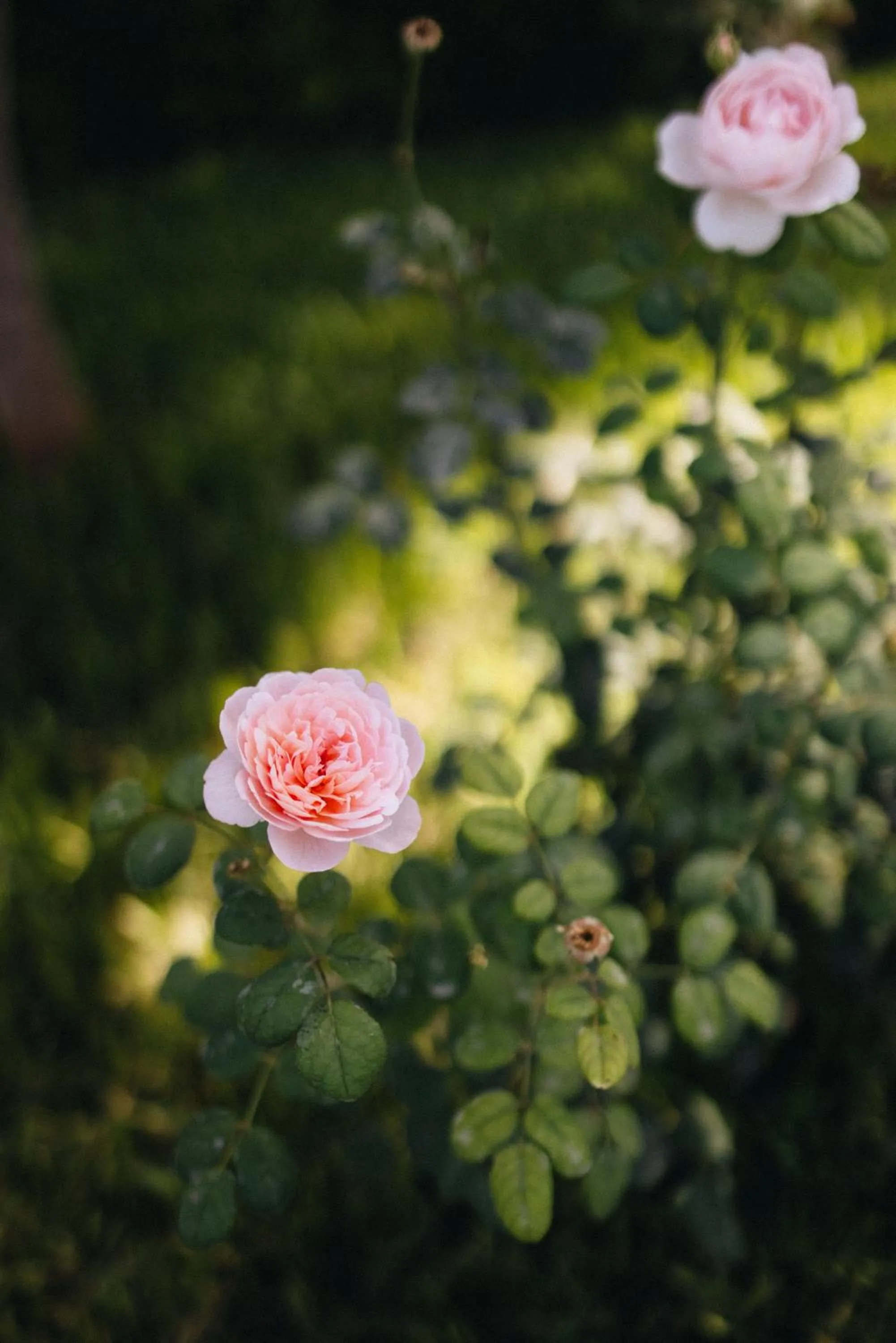 Can Moio Turismo de Interior