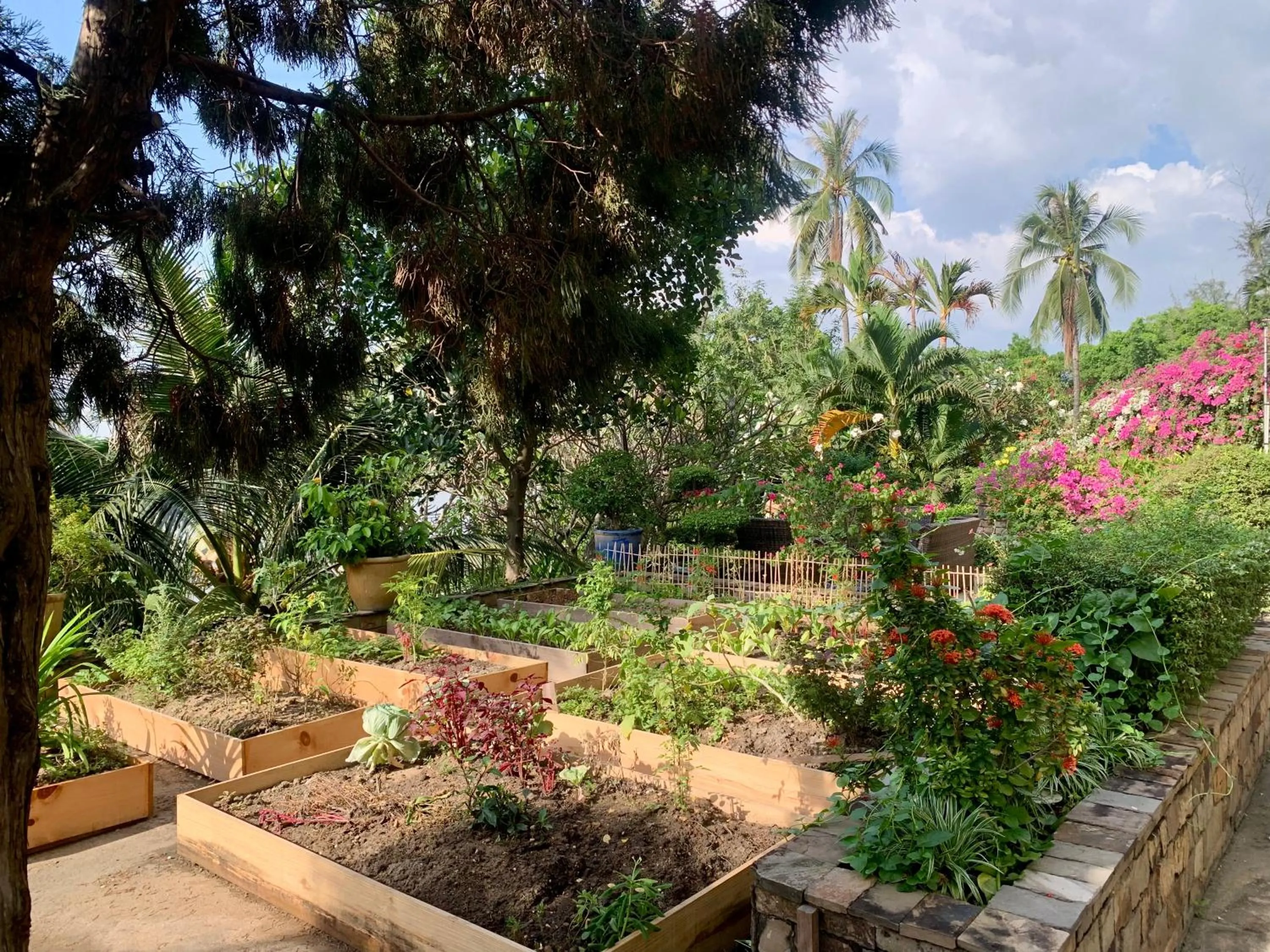 Garden in Saigon Domaine Luxury Residences